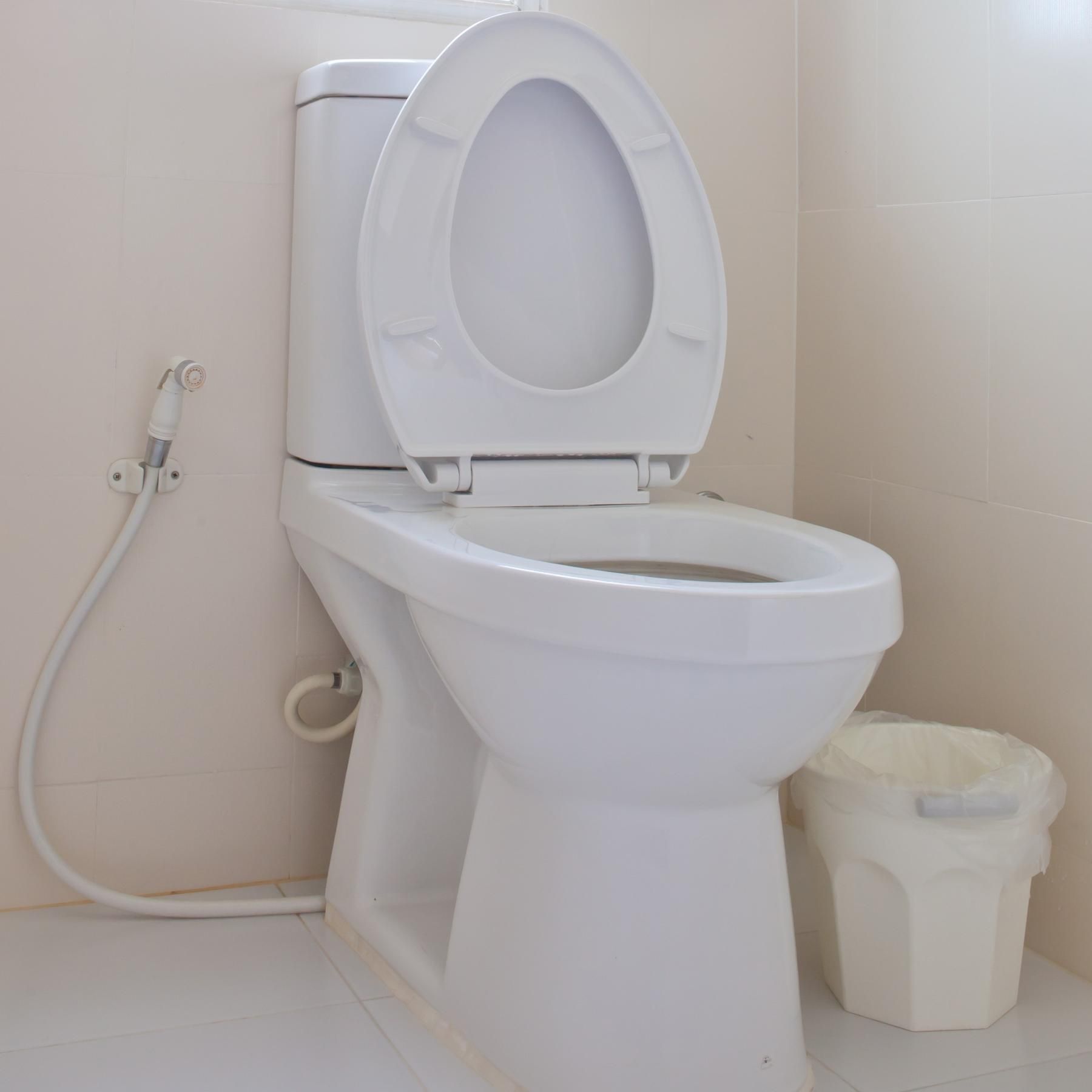 HYGIENE: Die Toilette