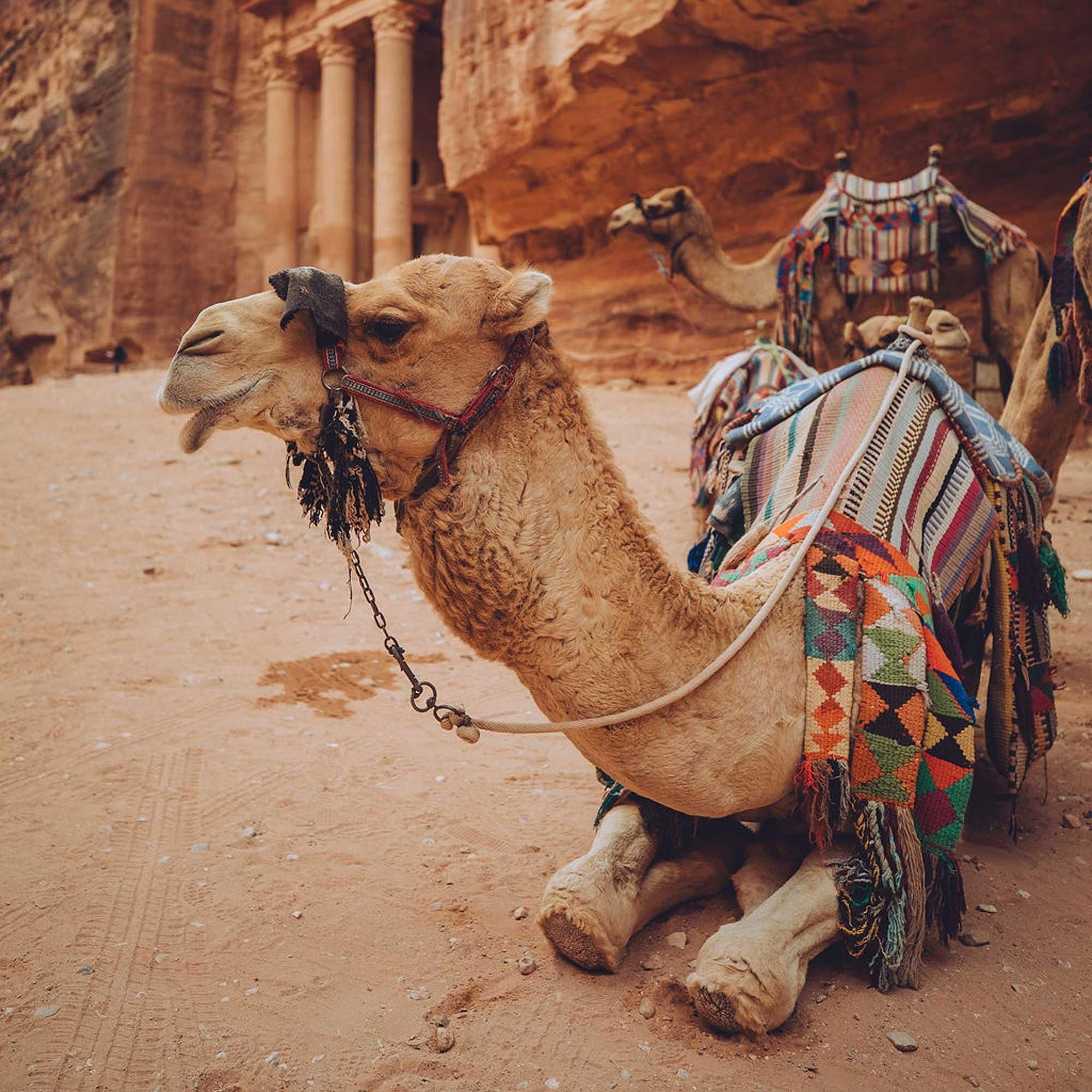 Julia Nimke – Jordanien: Felsenstadt Petra und der Zauber der Wüste