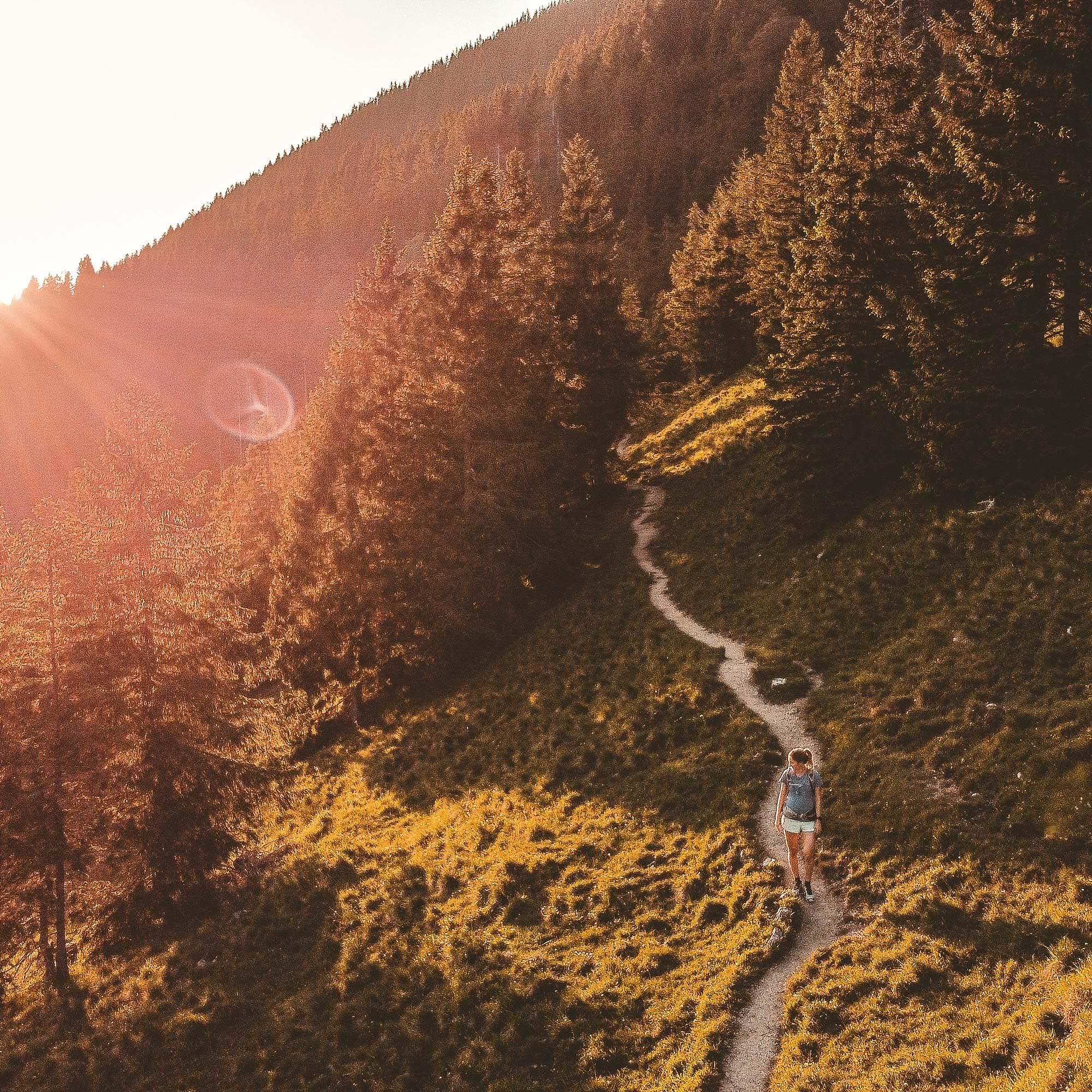 In Deutschland um die Welt: Abenteuer aus allen Kontinenten ohne weit zu reisen