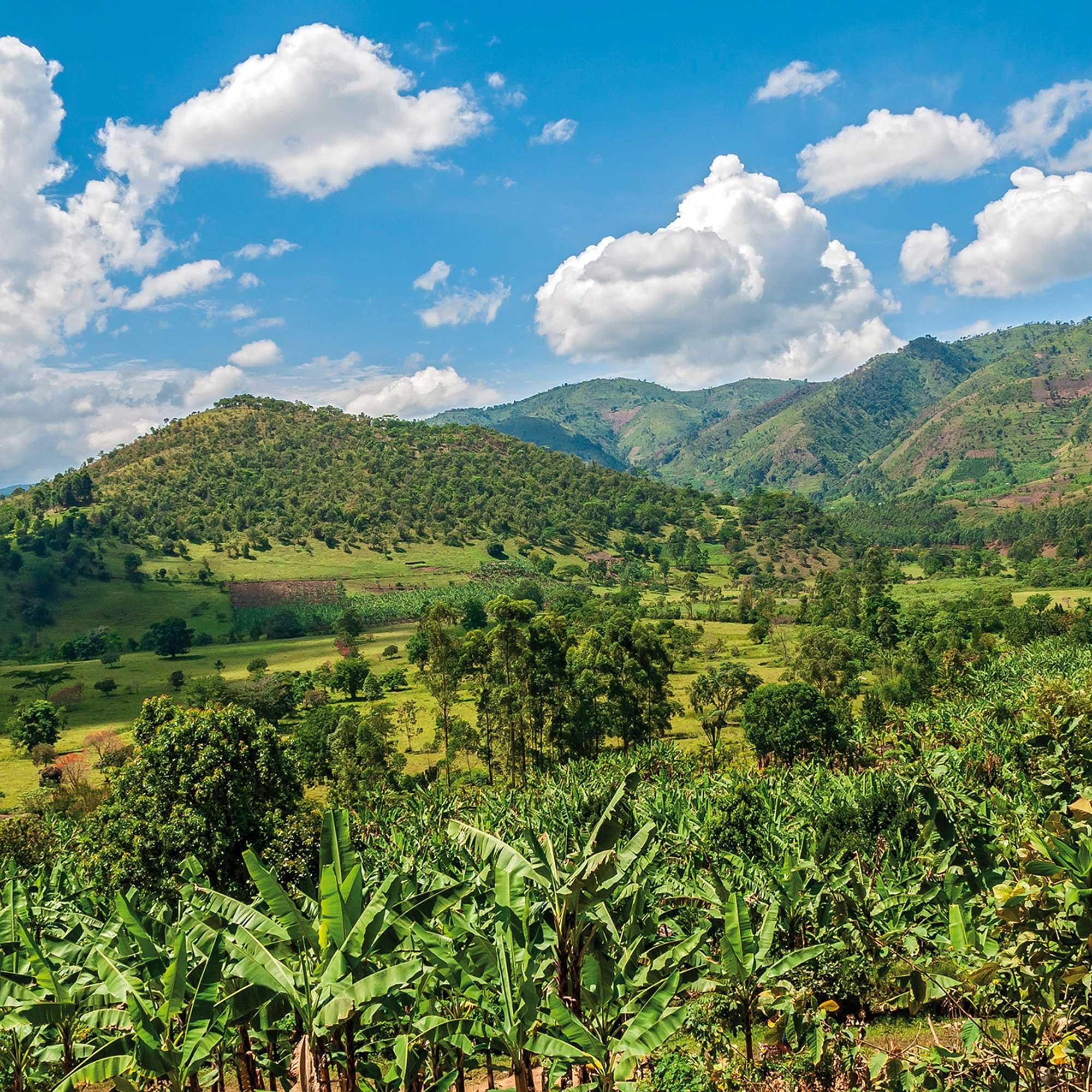 Mythos Mondberge: Unterwegs im Ruwenzori Nationalpark in Uganda