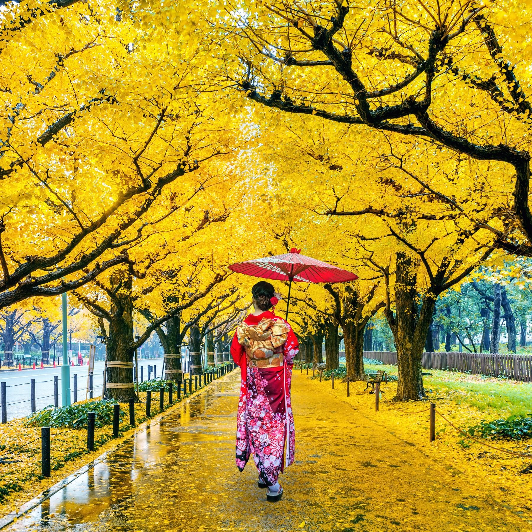 ASIEN UND DER WESTEN: Japans Öffnung zum Westen