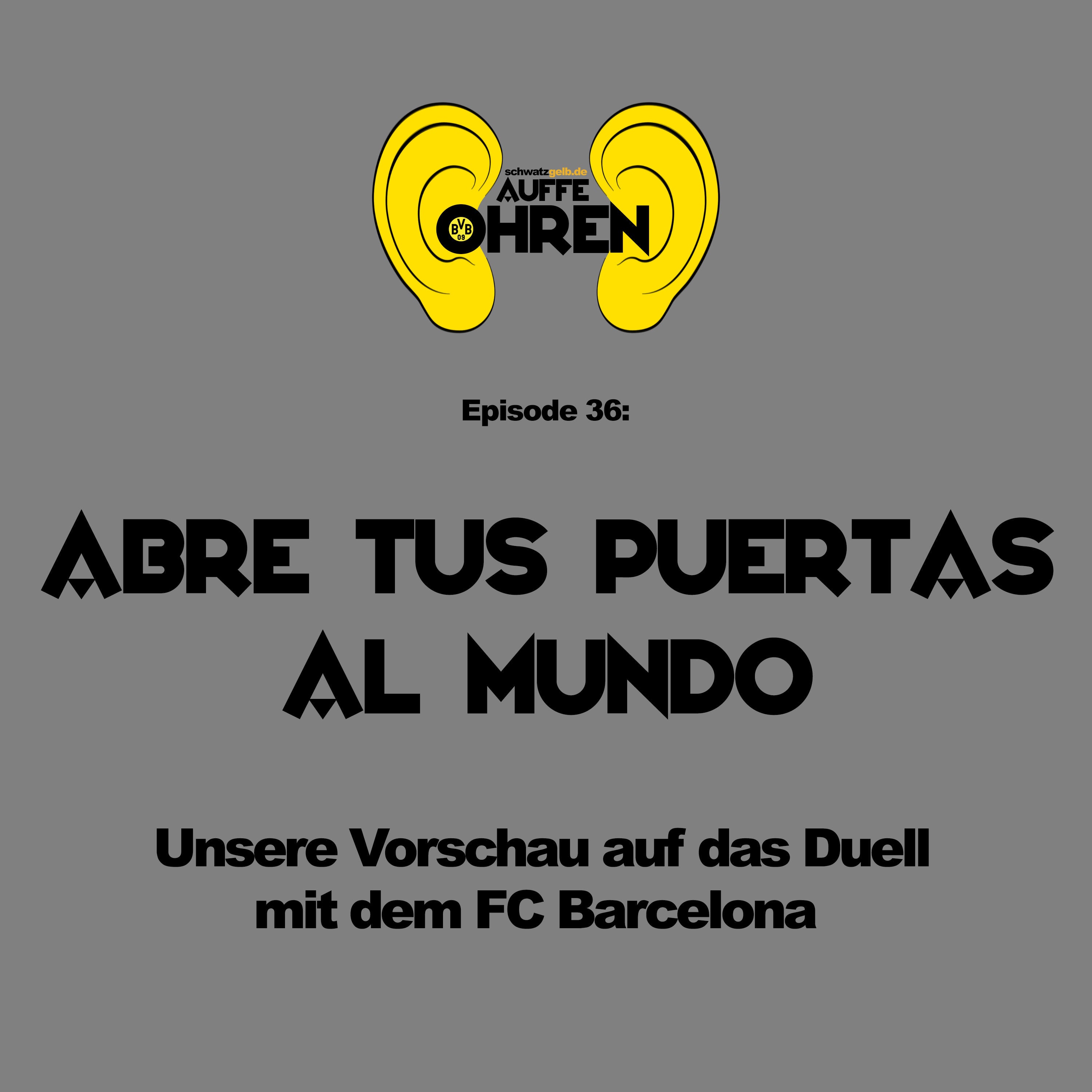 Auffen Punkt #36: Abre tus puertas al mundo