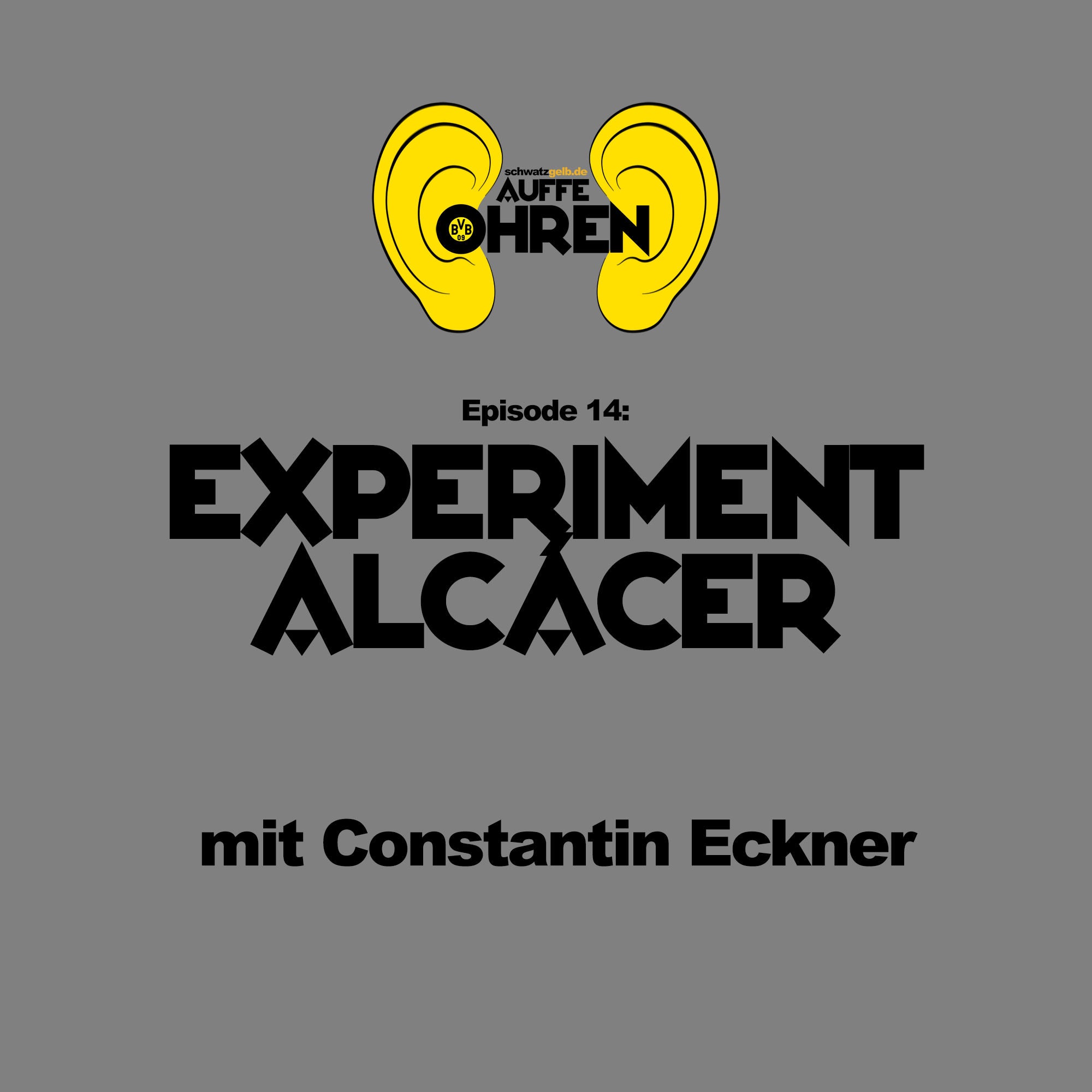 Auffen Punkt #14: Experiment Alcácer
