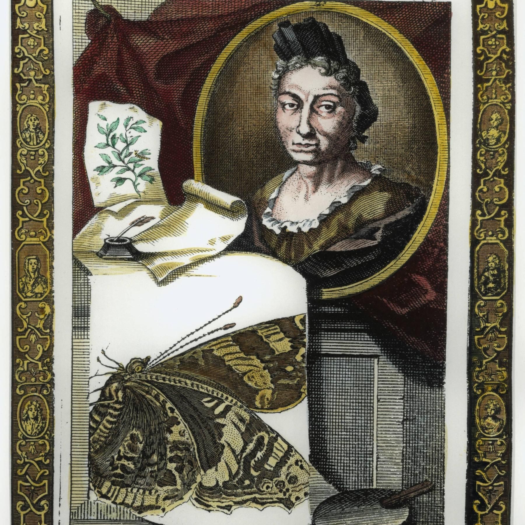 FRÜHE WELTREISENDE - Die Naturforscherin Maria Sibylla Merian