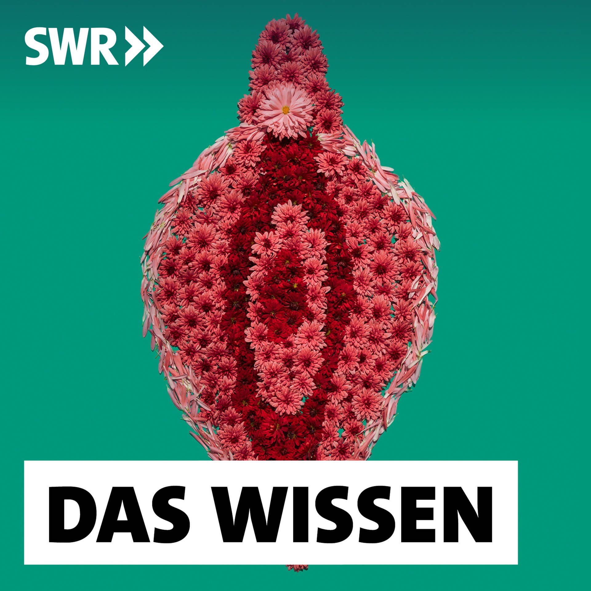 Mythos Jungfernhäutchen – Wie falsche Vorstellungen Frauen schaden
