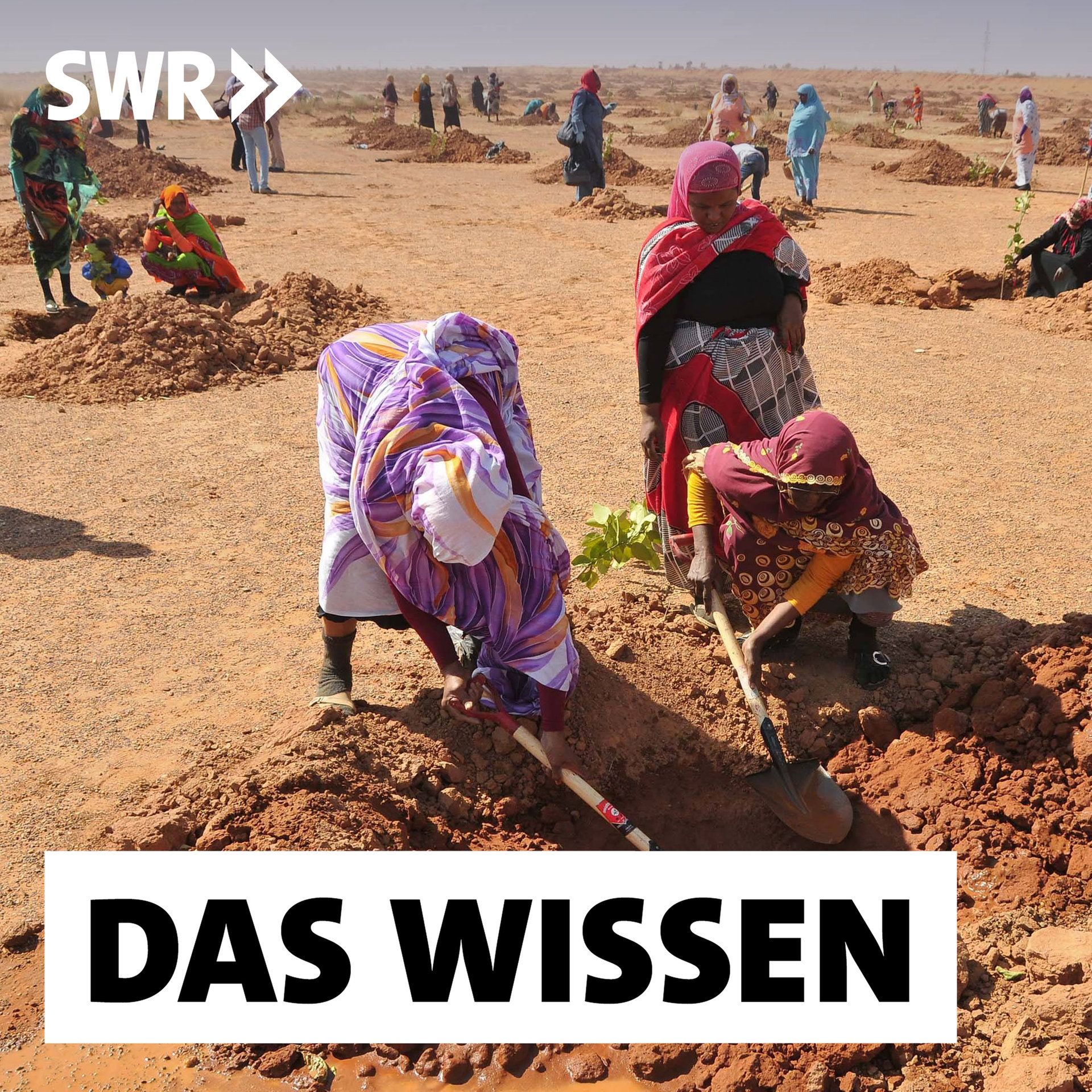 Die Grüne Mauer im Sahel – Bäume und Sträucher fürs Überleben