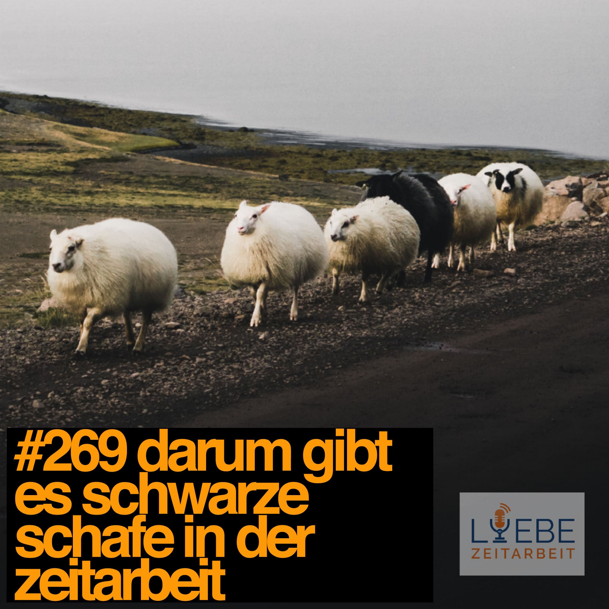 #269 Darum gibt es schwarze Schafe in der Zeitarbeit