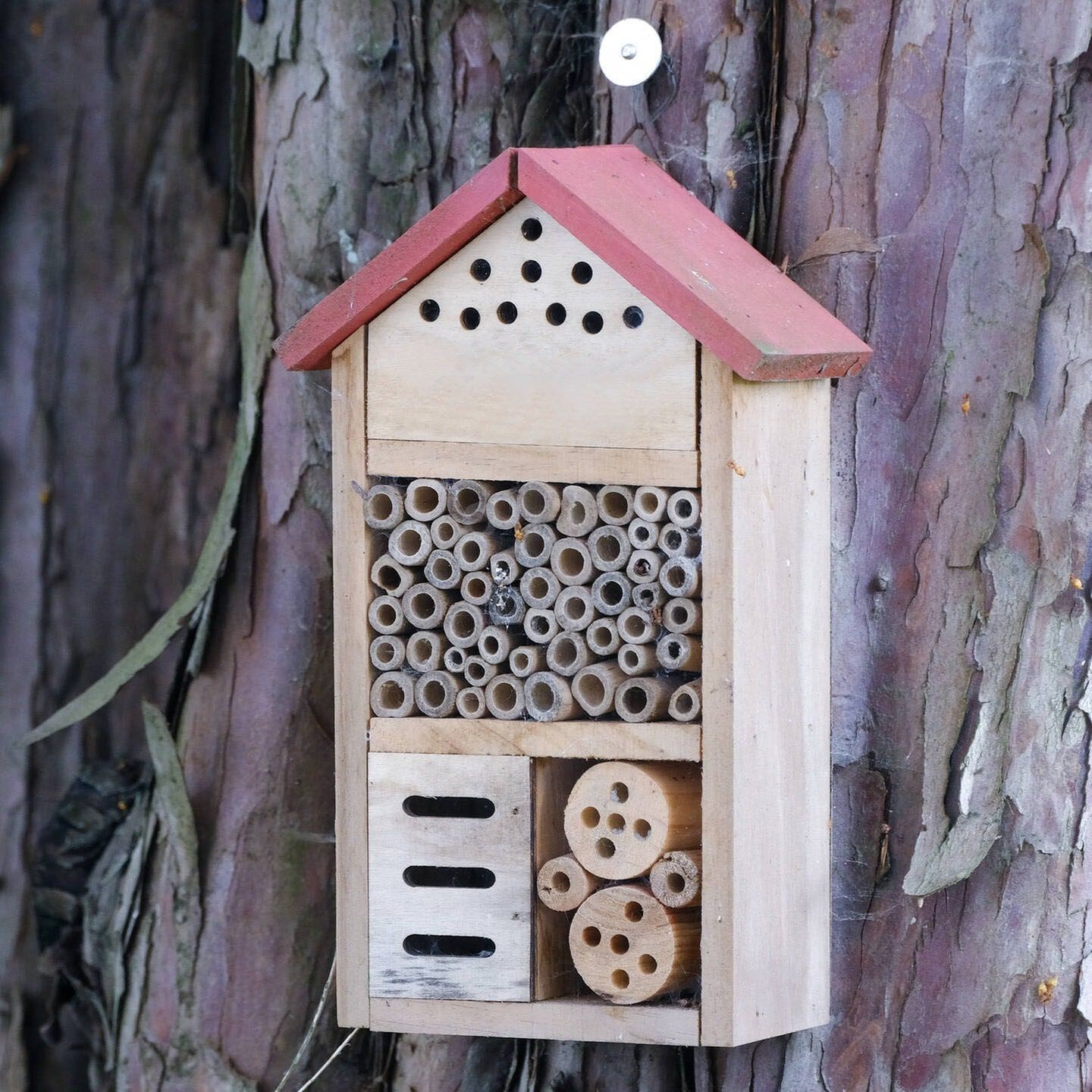 Buchung im Insektenhotel