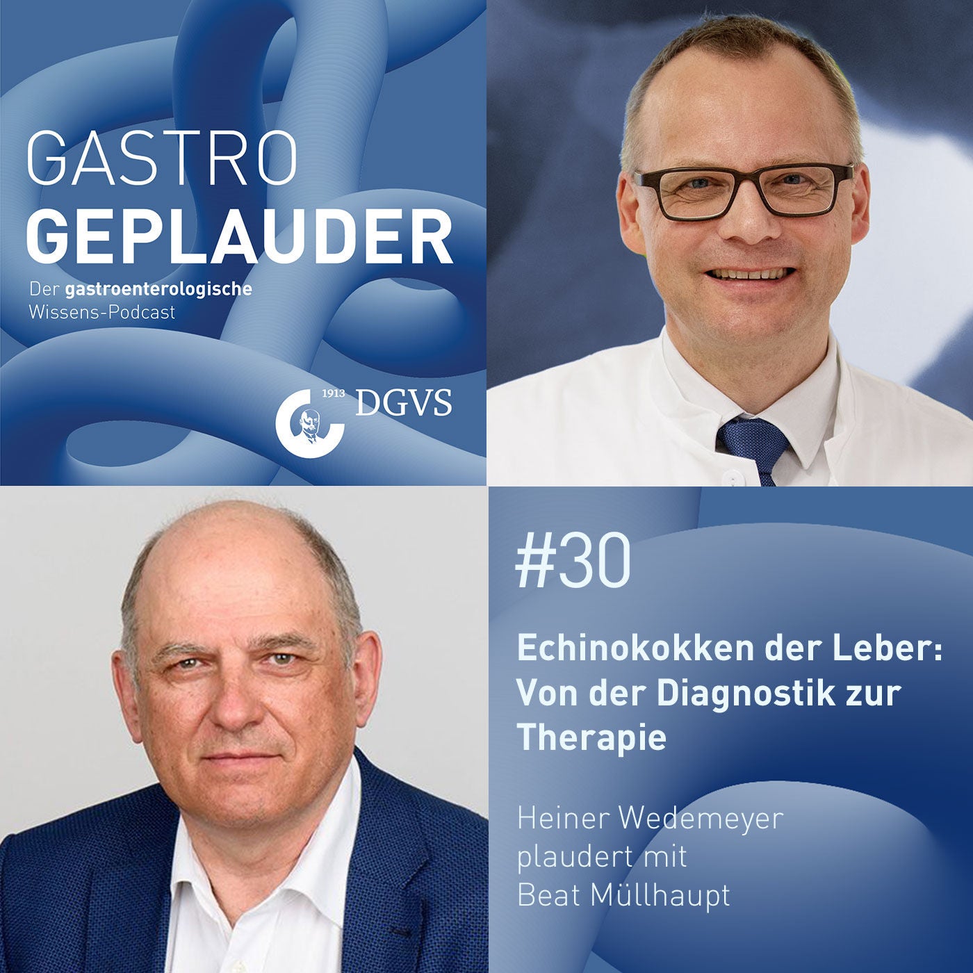 Echinokokken der Leber: Von der Diagnostik zur Therapie