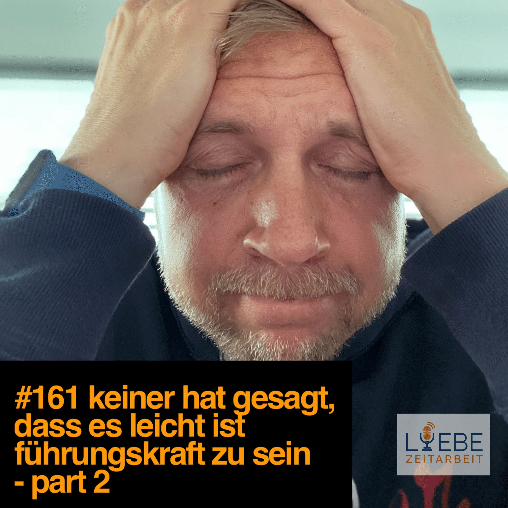 #161 Keiner hat gesagt, dass es leicht ist Führungskraft zu sein - Part 2 ❤️ Liebe Zeitarbeit by Daniel Müller