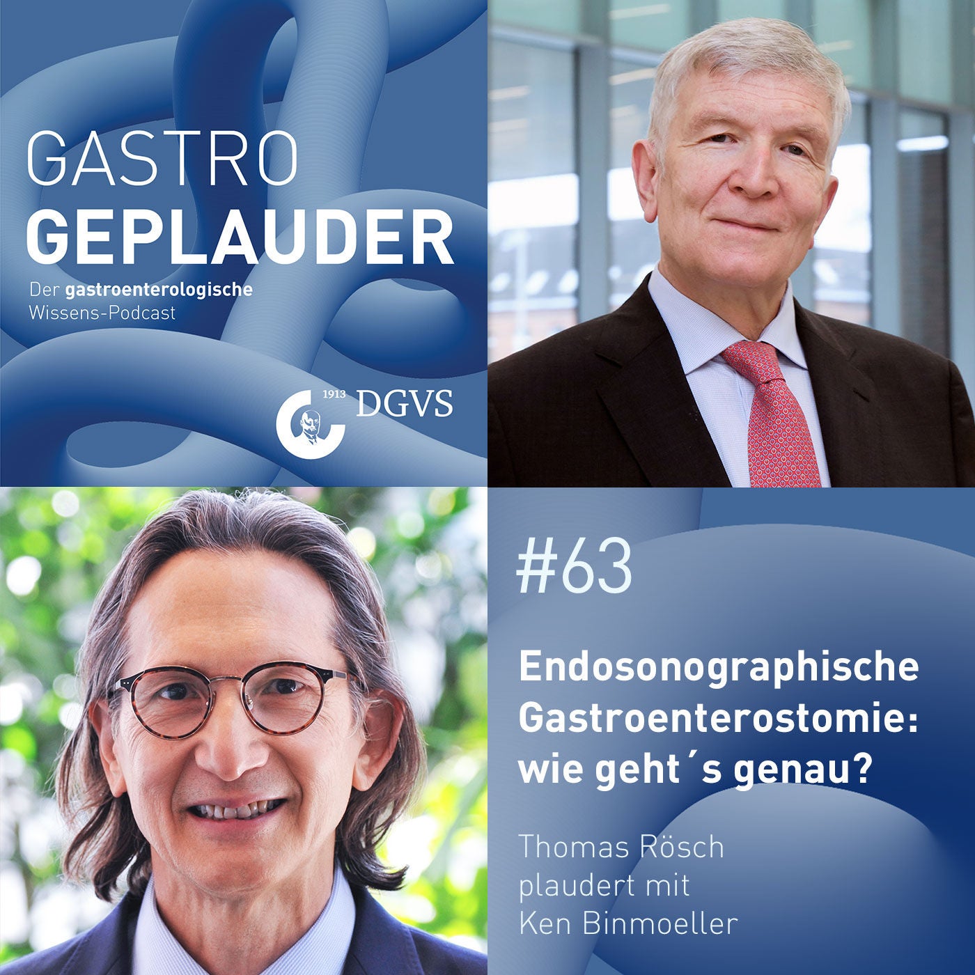 Endosonographische Gastroenterostomie: wie geht´s genau?