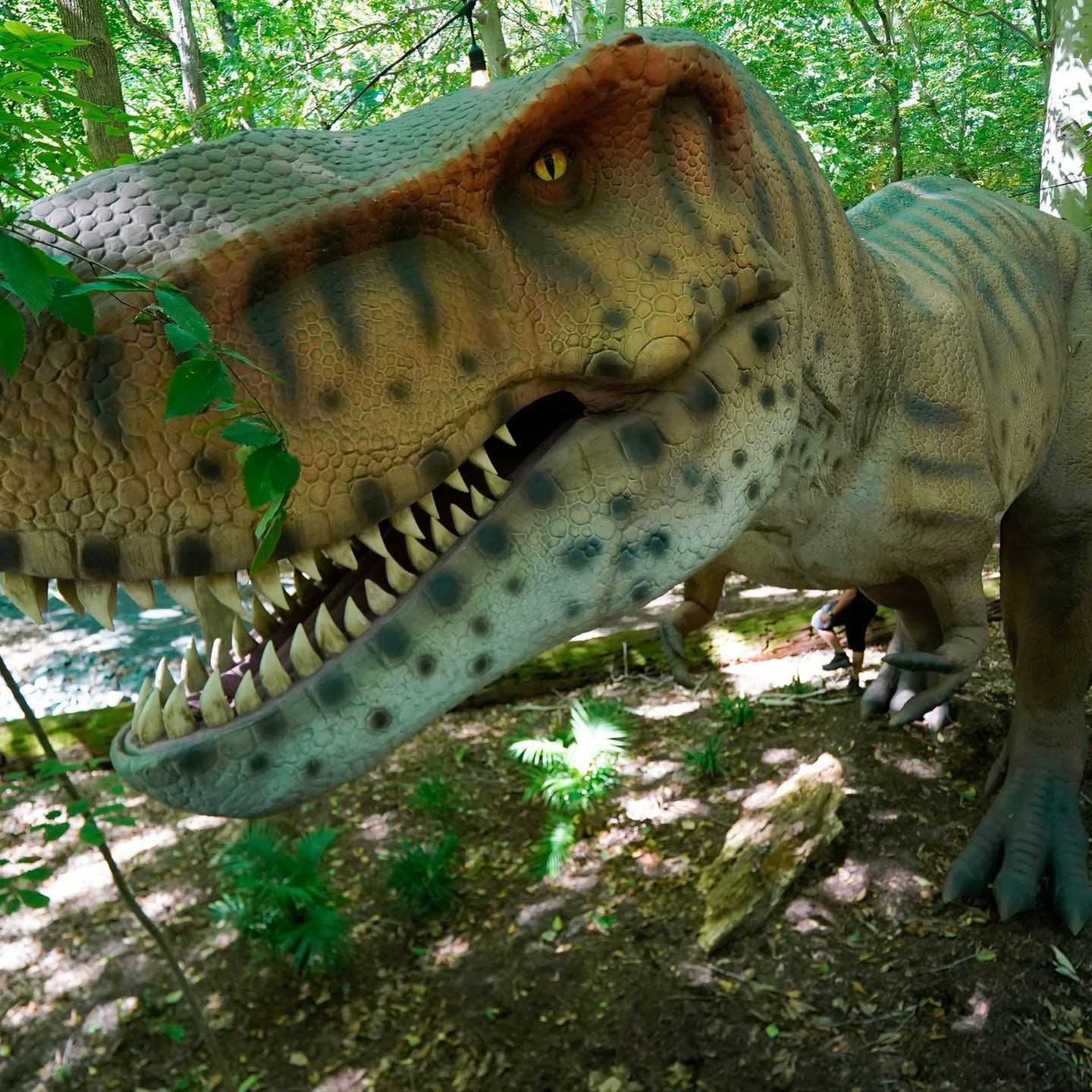 Die Tierdocs: Raubsaurier trinkt nicht