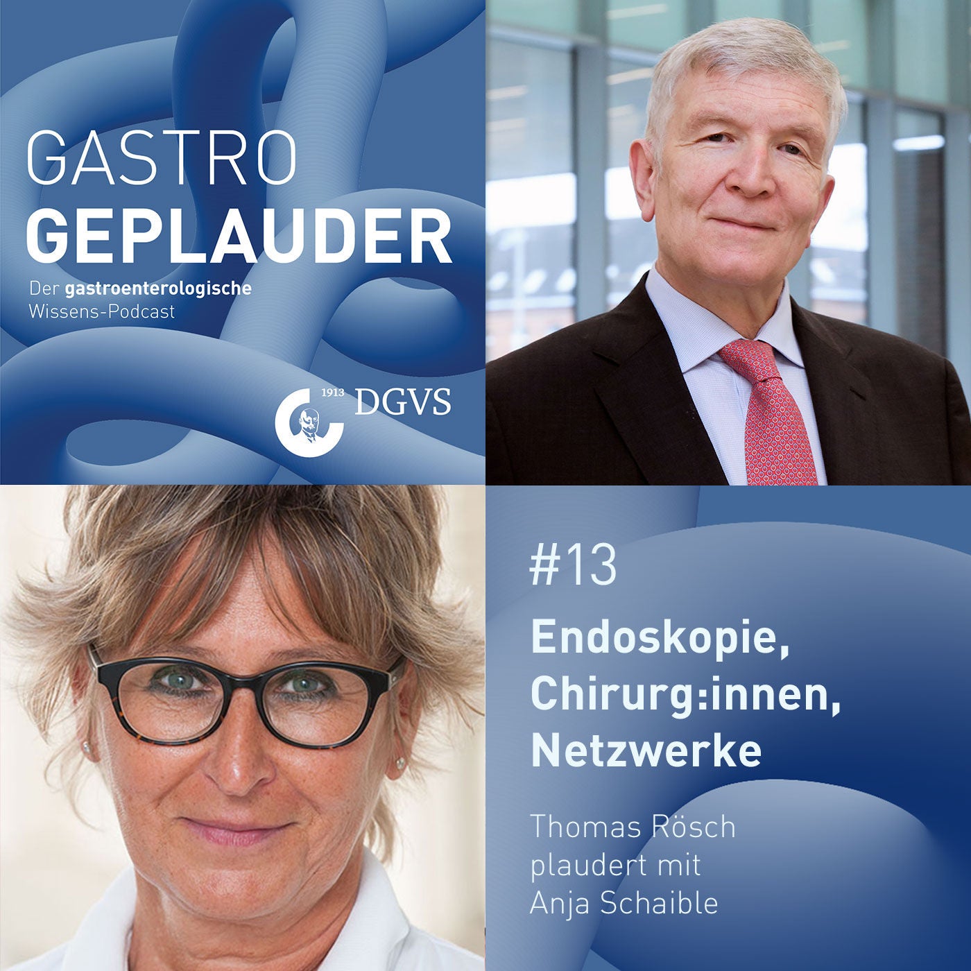 Endoskopie, Chirurg:innen, Netzwerke