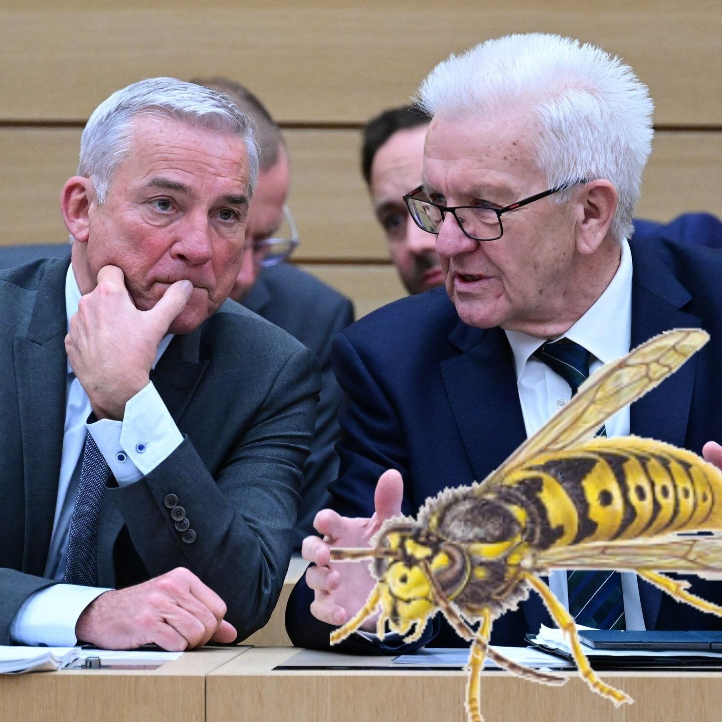 Fragen Sie Kretschmann: Eine Wespe namens Kretschmann