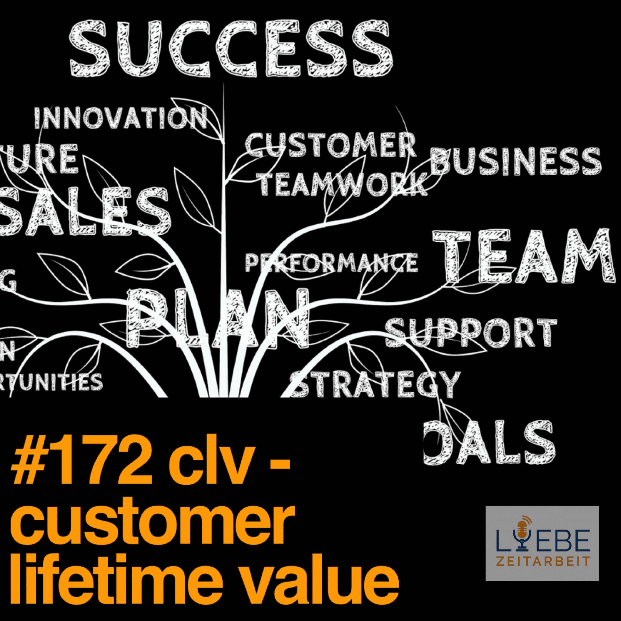 #172 CLV - Customer lifetime value