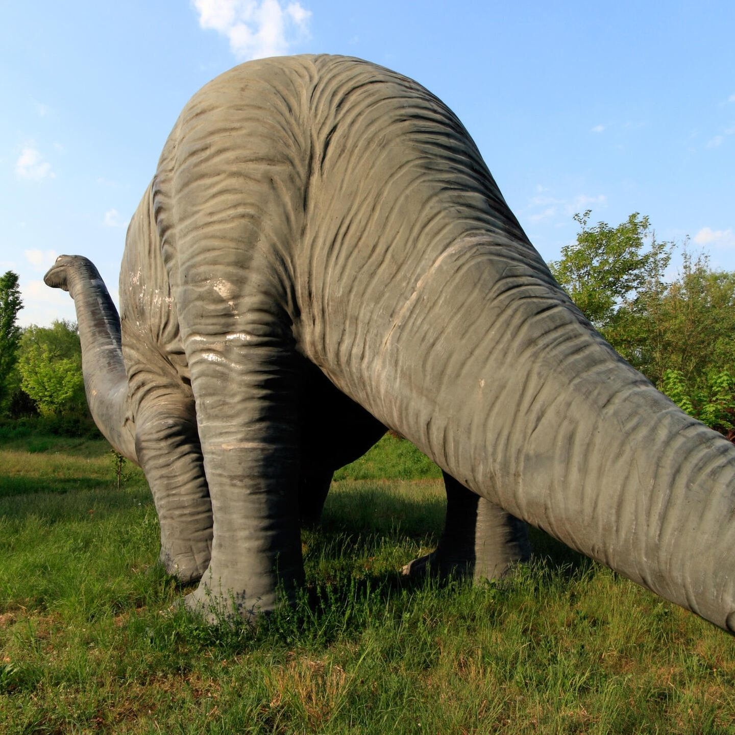 Die Tierdocs: Brontosaurus hat Schnupfen