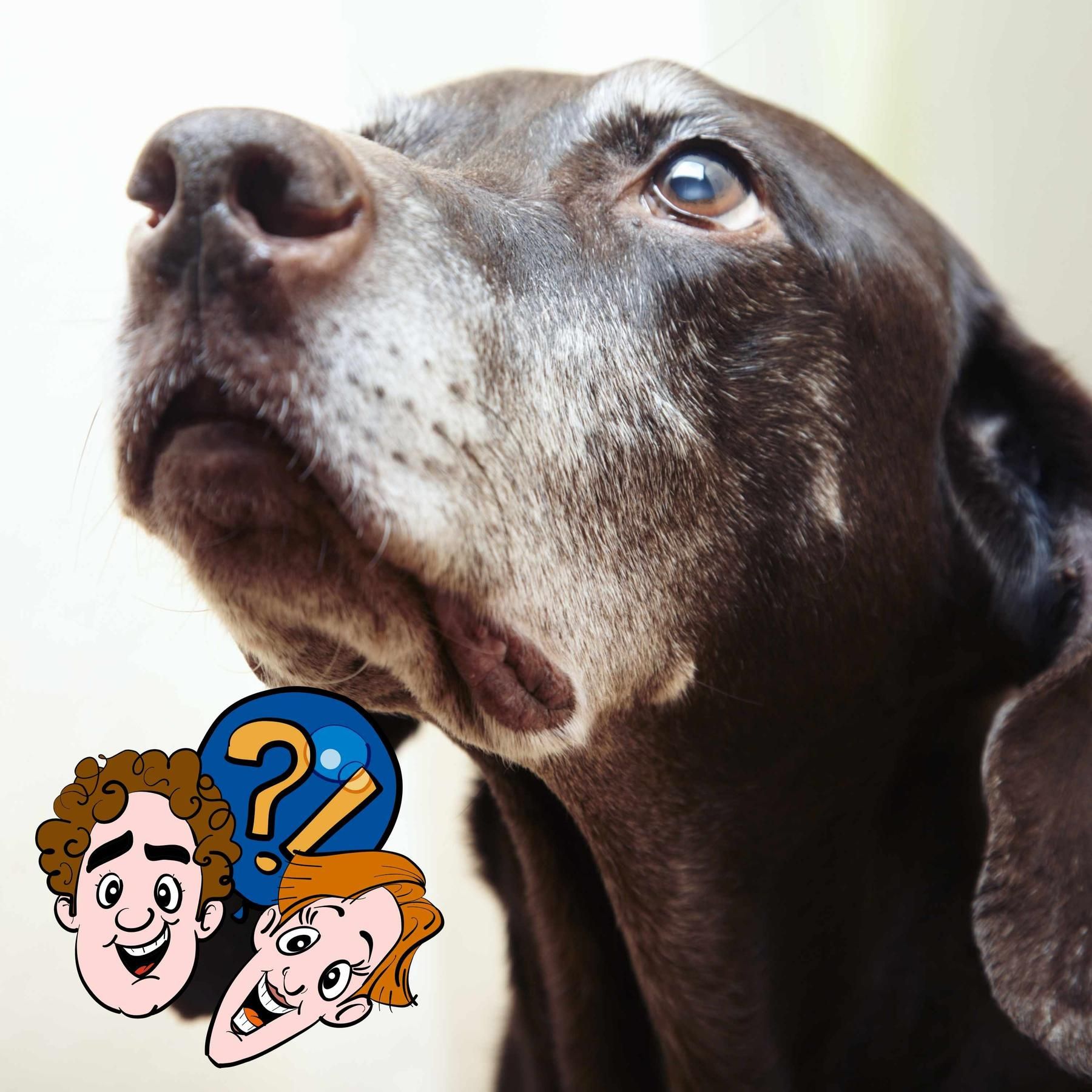 Bekommen alte Tiere auch mal eine Glatze?