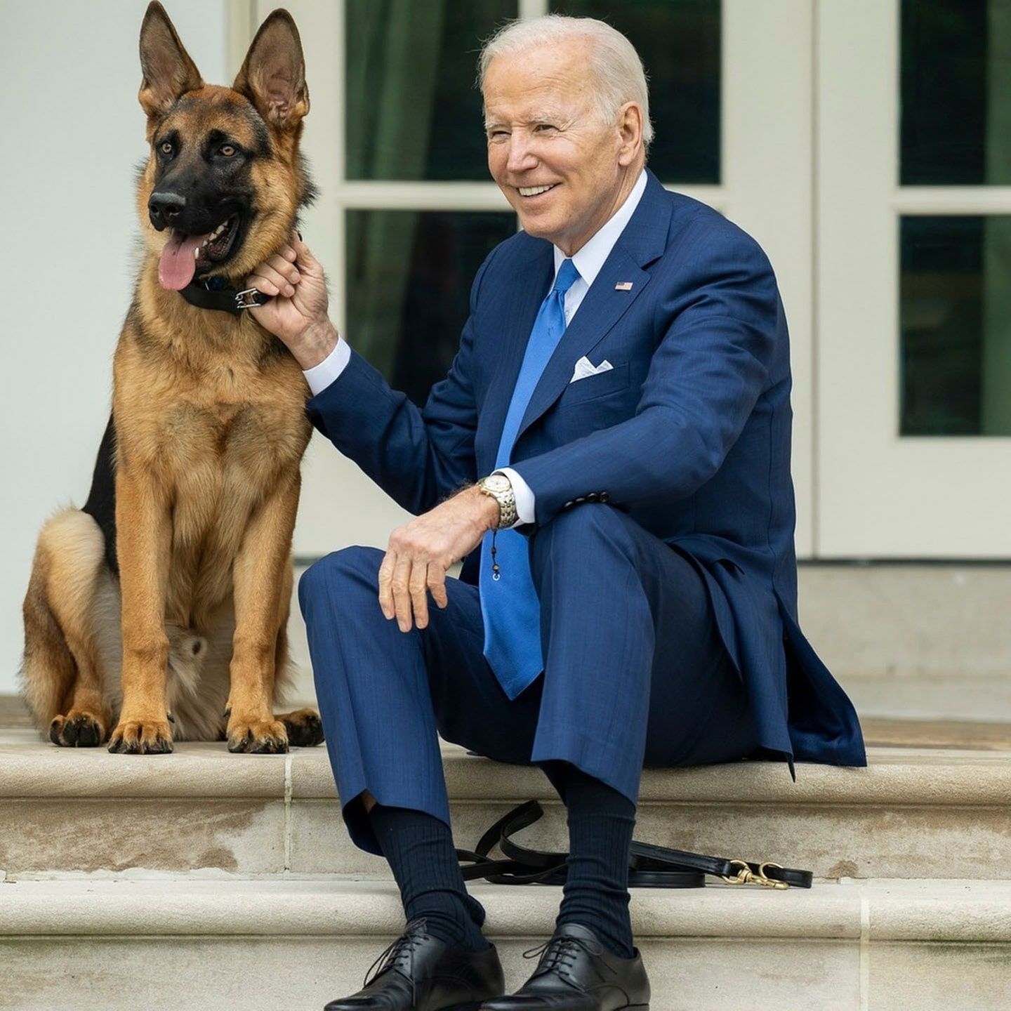 Die Tierdocs: Schäferhund von Joe Biden