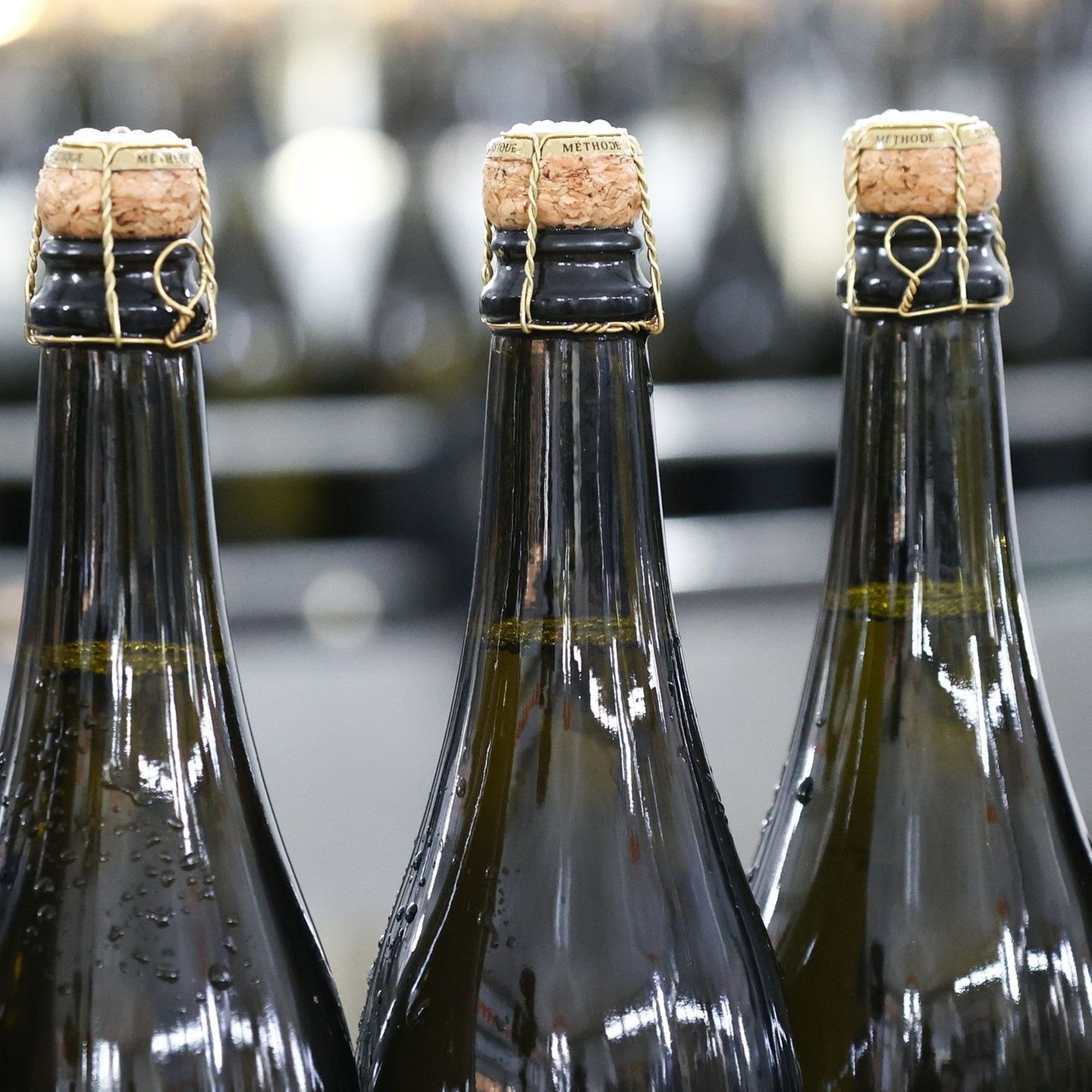 Die Lallers: Champagnerkrise