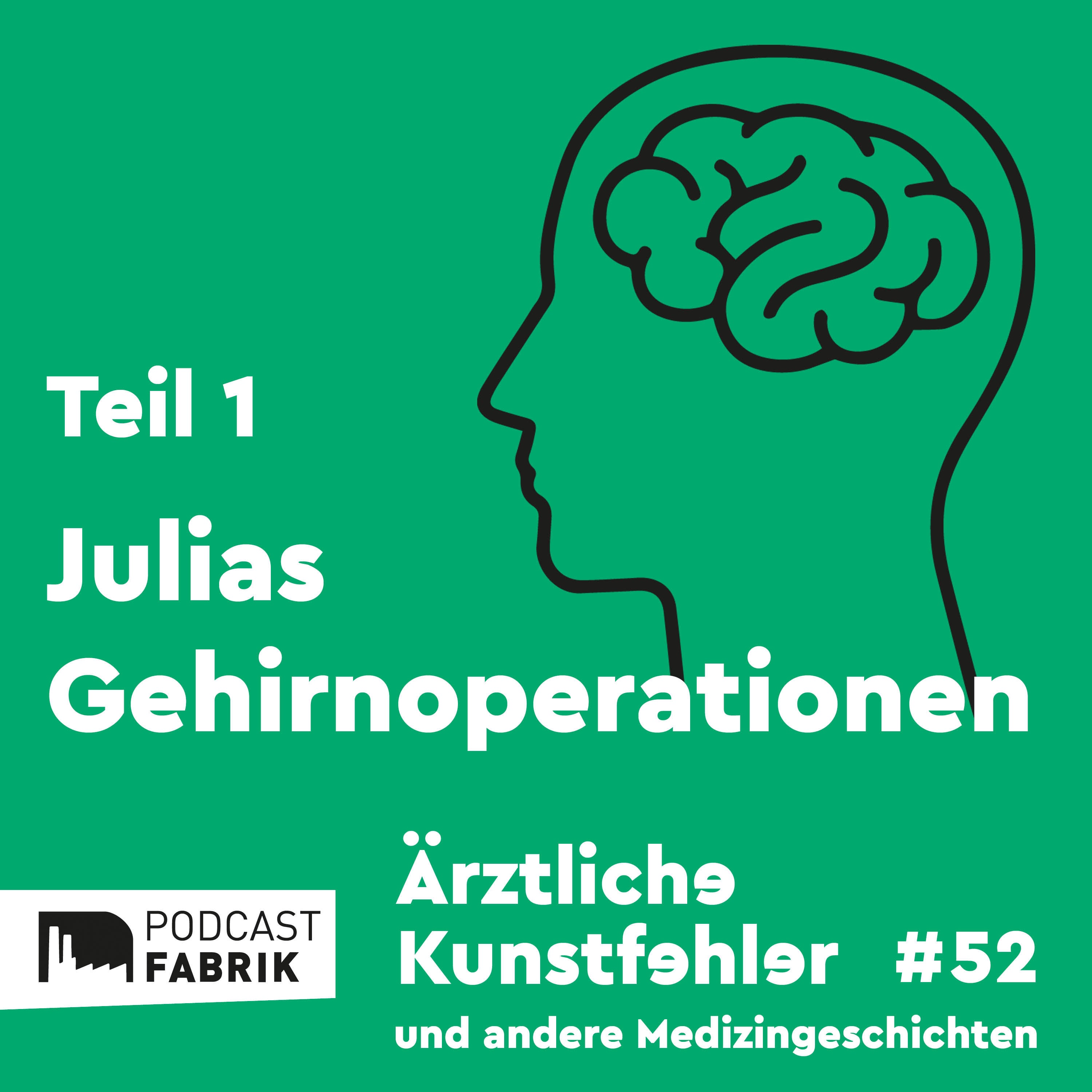 Julias Gehirnoperationen I