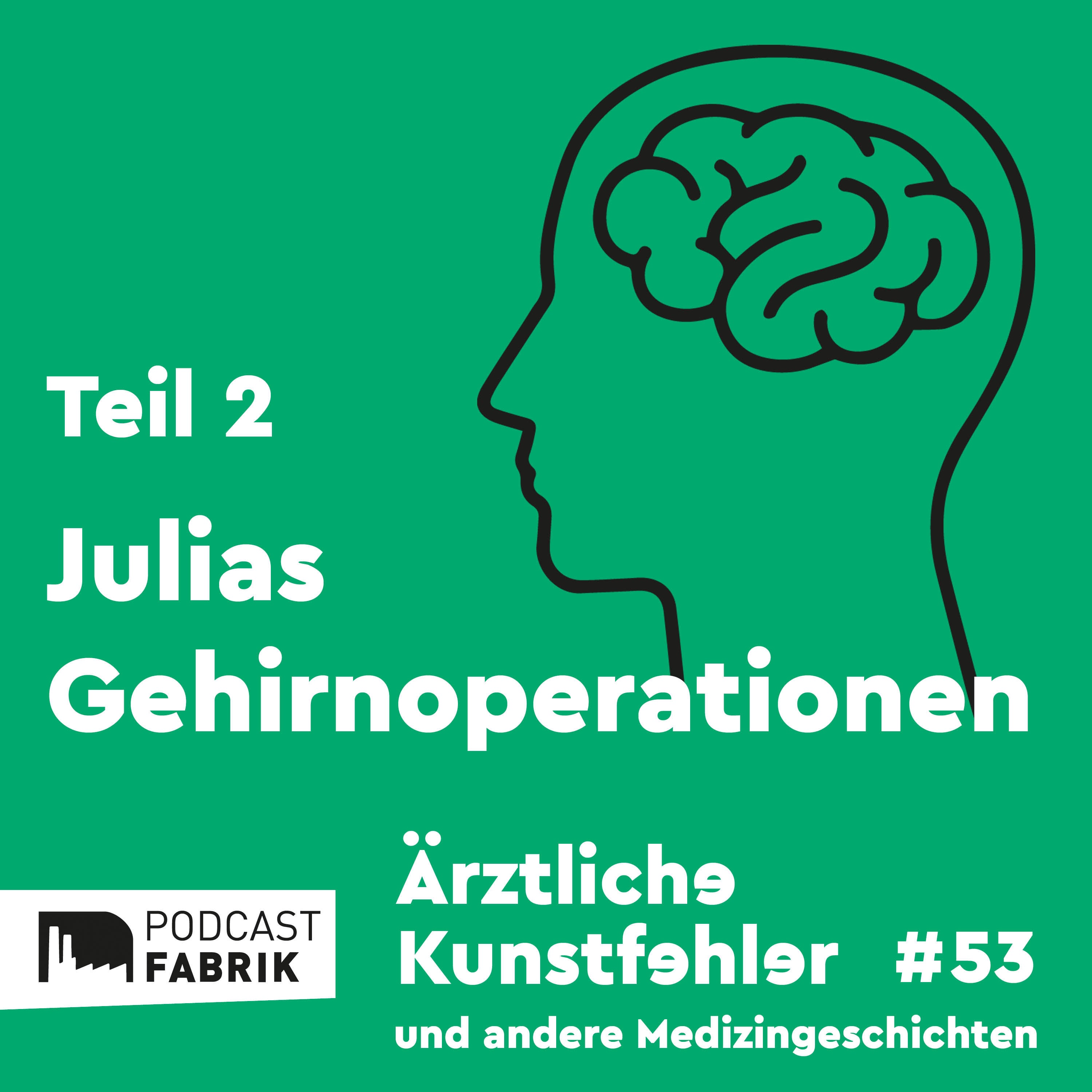 Julias Gehirnoperationen II