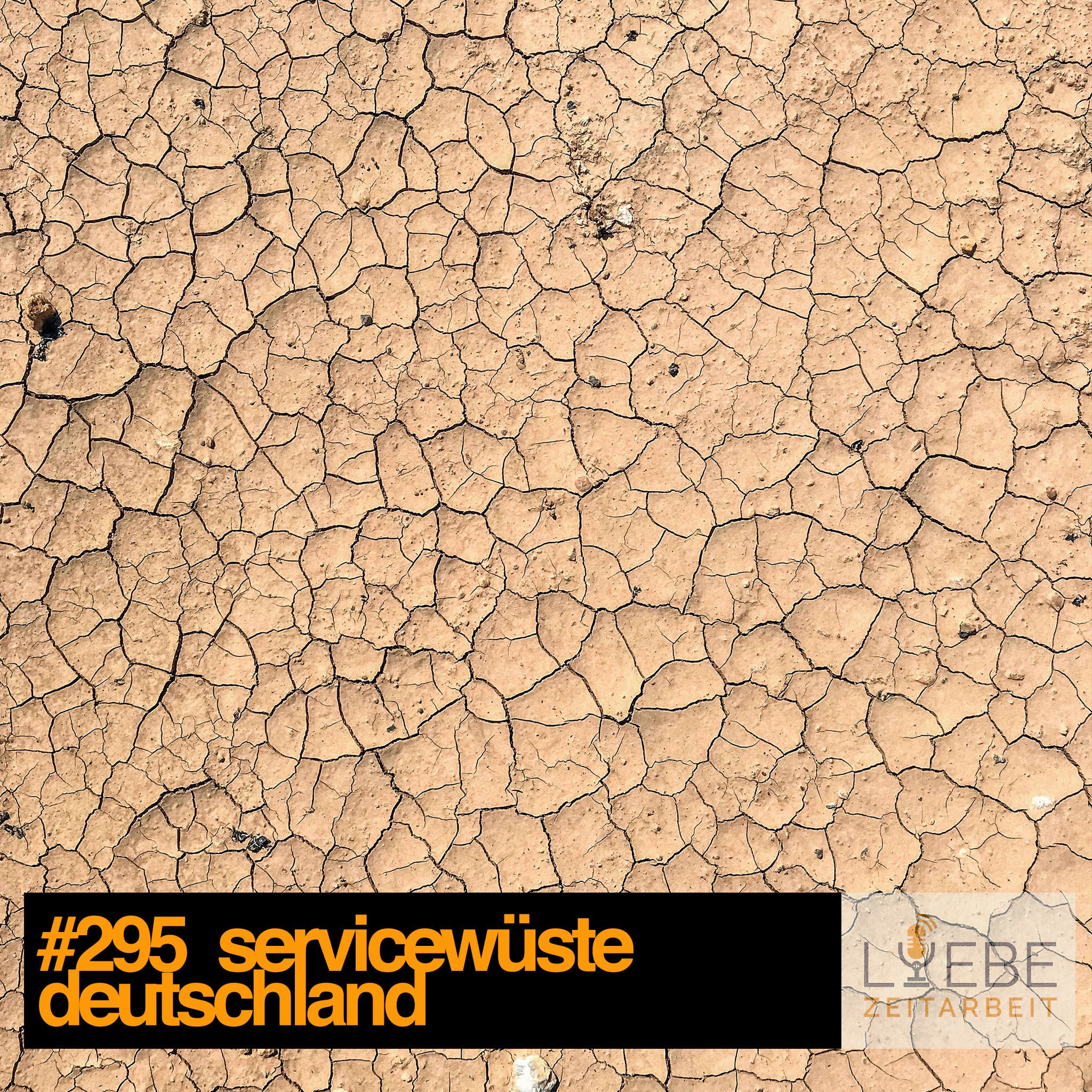 #295 Servicewüste Deutschland