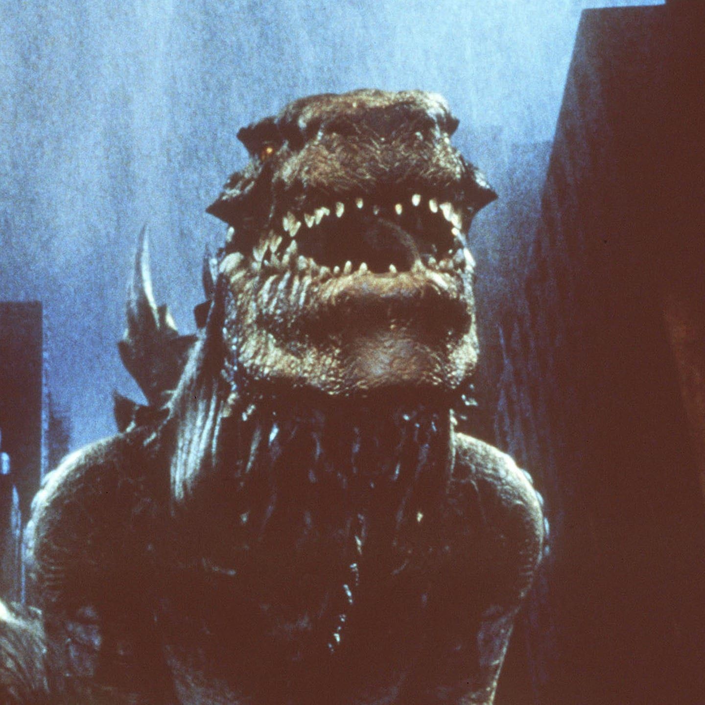 Die Tierdocs: Godzilla frisst nicht mehr