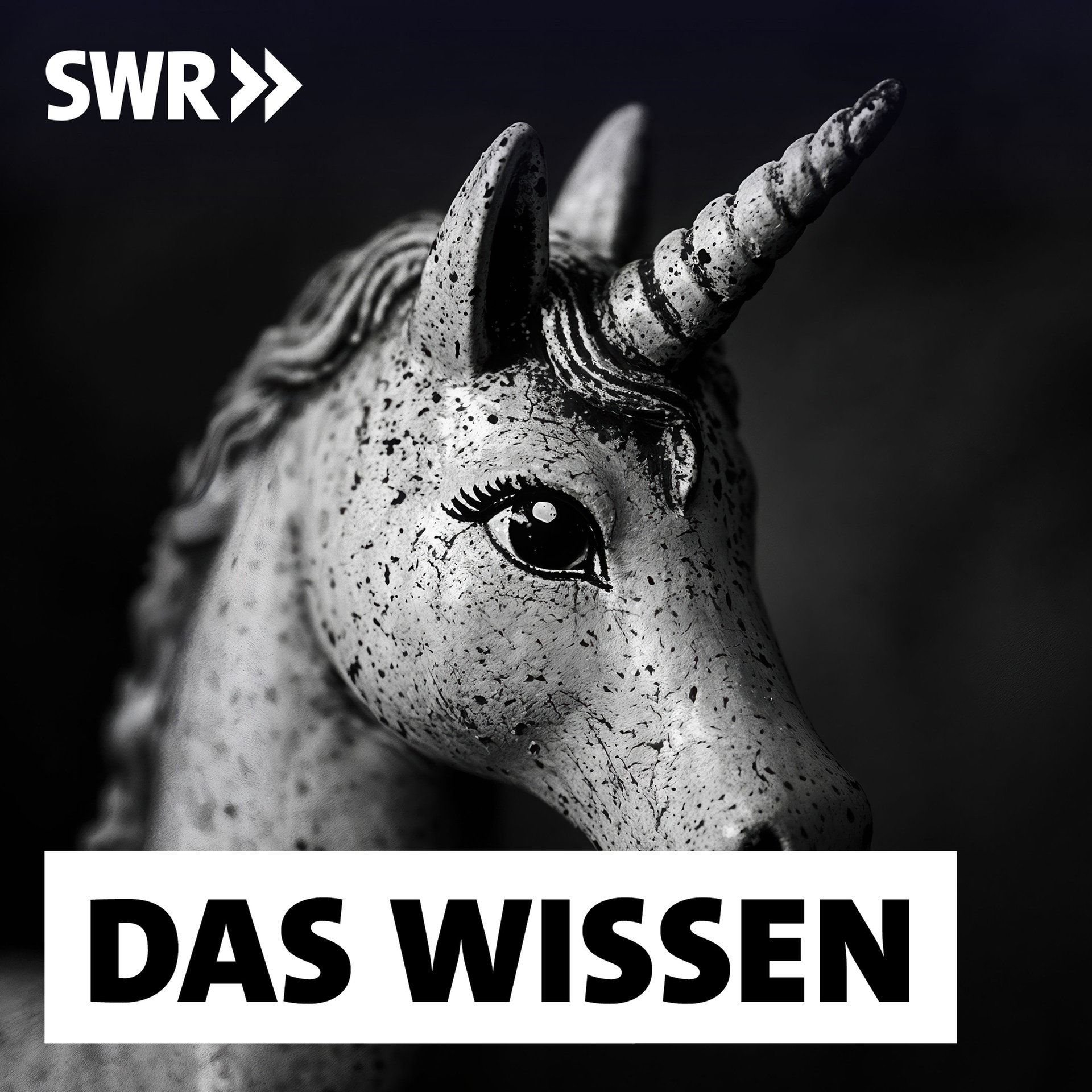 Das Einhorn – Kult um ein Fabelwesen