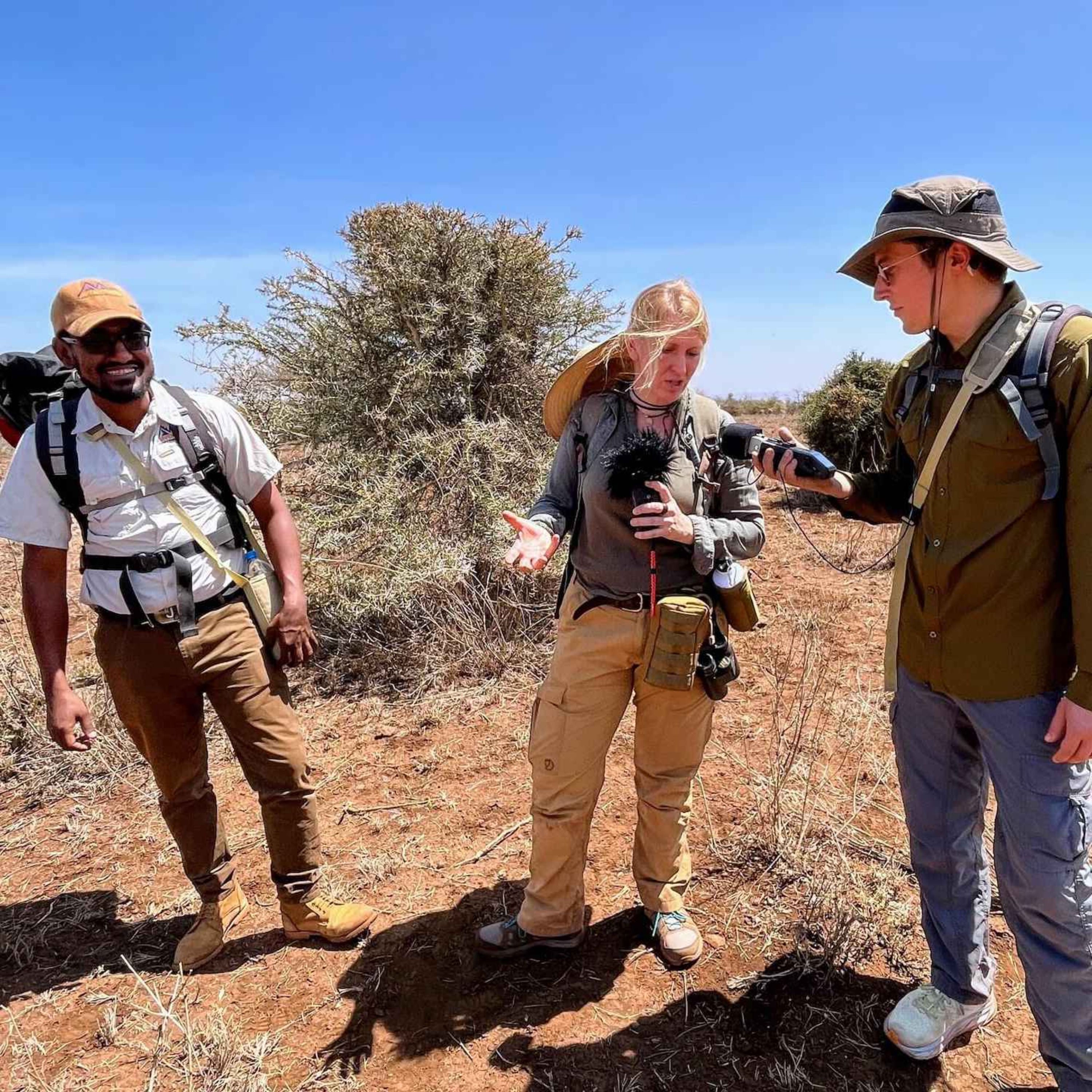 WW309: Der Ruf der Savanne – mit Lydia und Erik auf Walking Safari in Tansania (2/3)