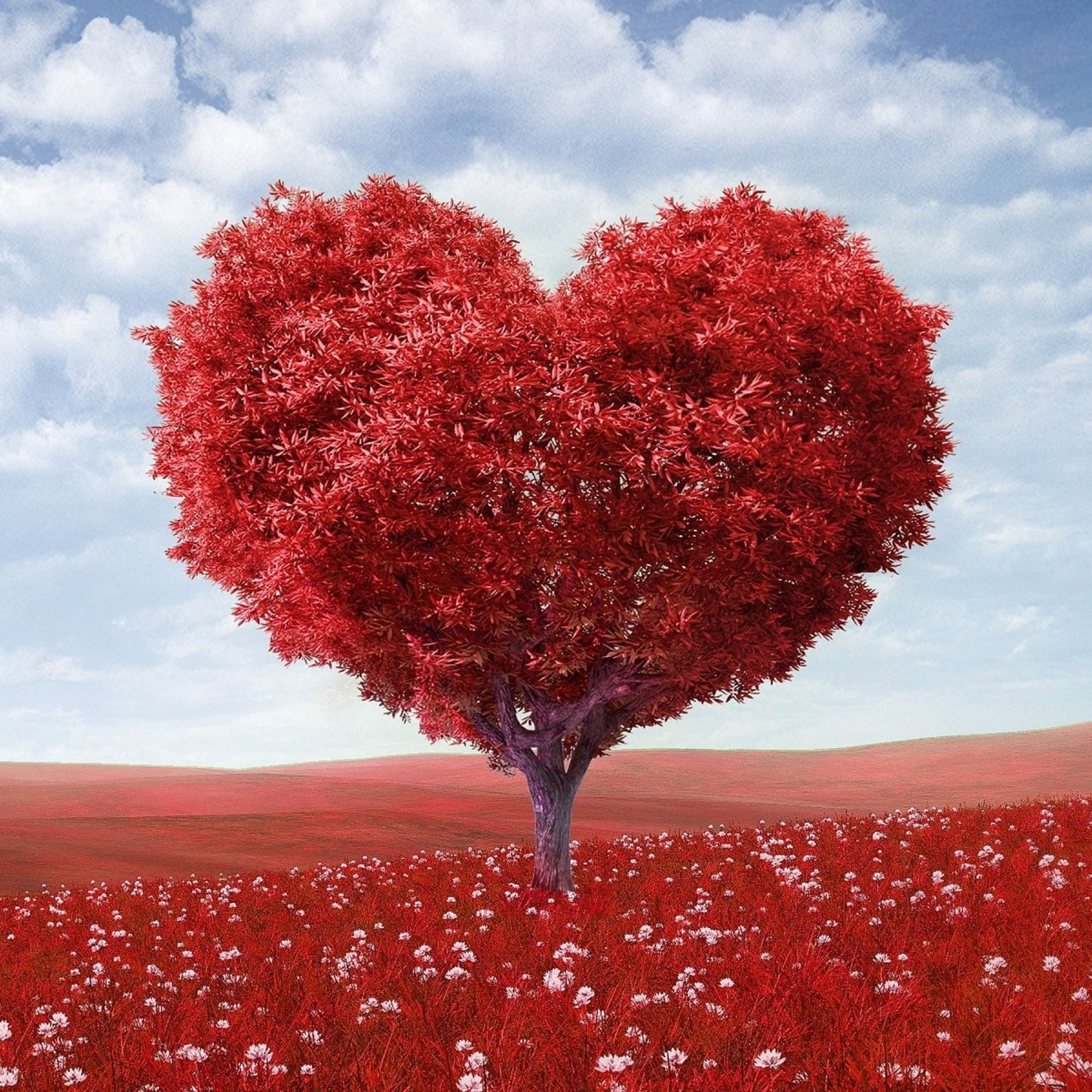 Gute Filme: Valentinstag