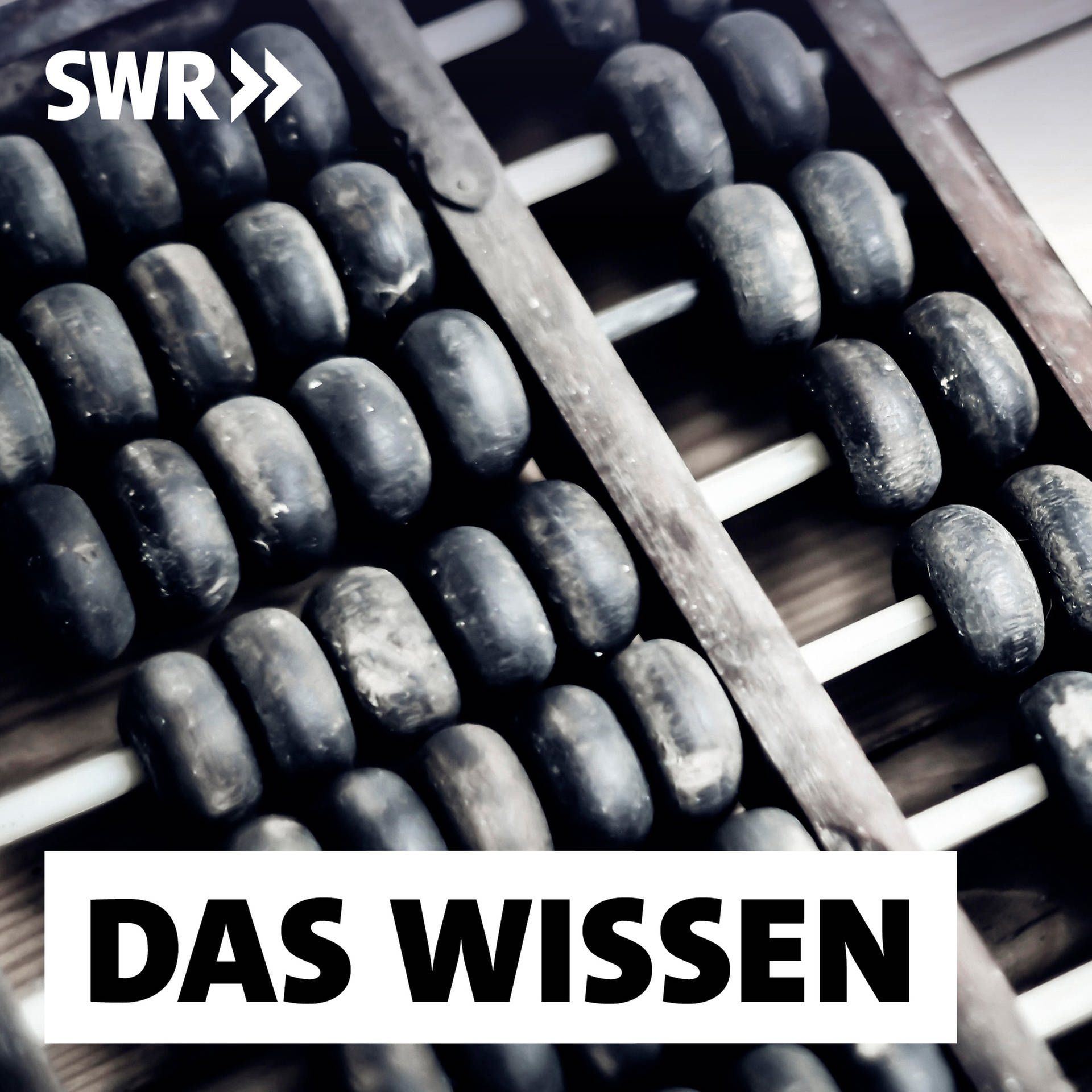 Der Zahlensinn des Menschen – Eins bis fünf, ungefähr, unendlich