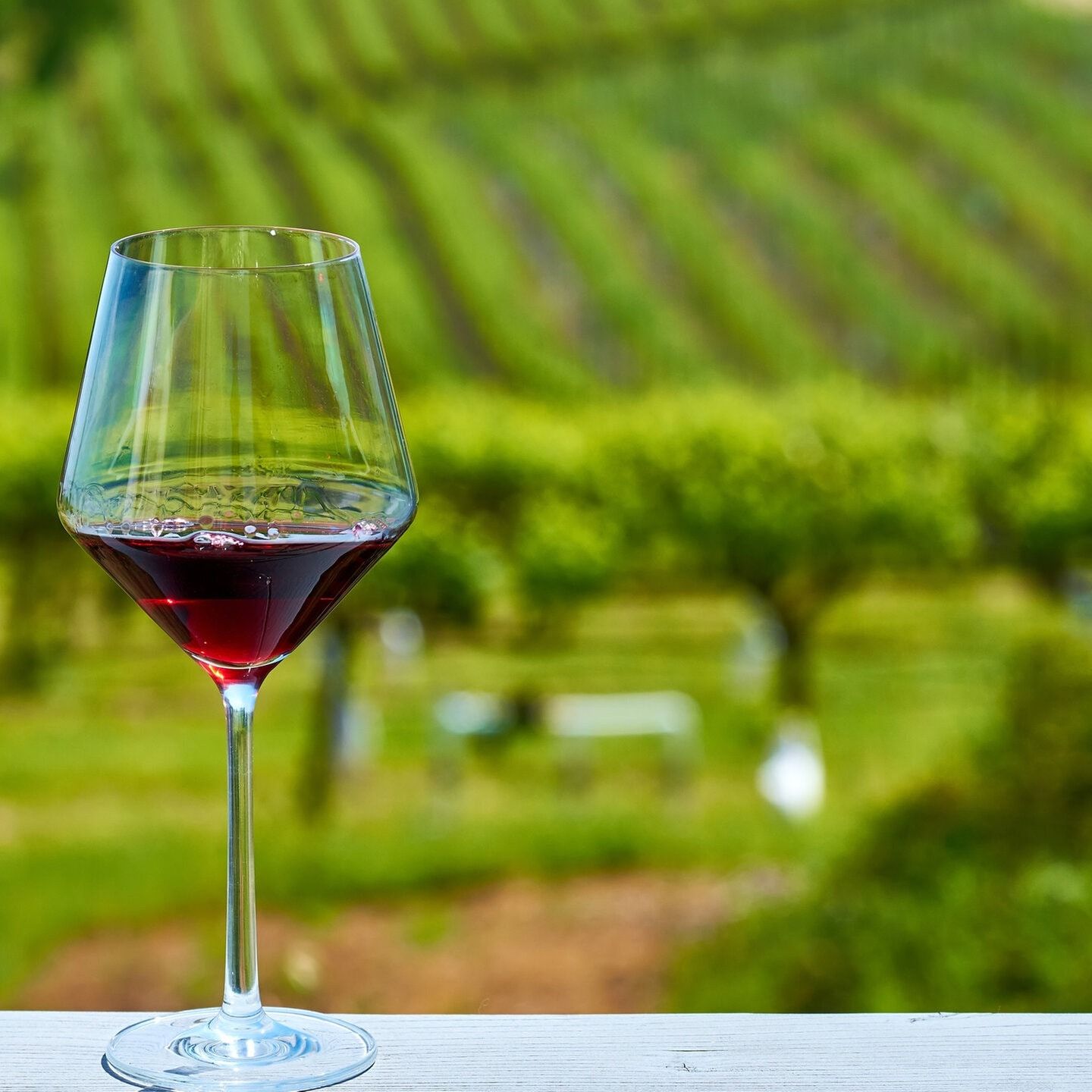 Die Lallers: Teurer Rotwein macht Kopfweh