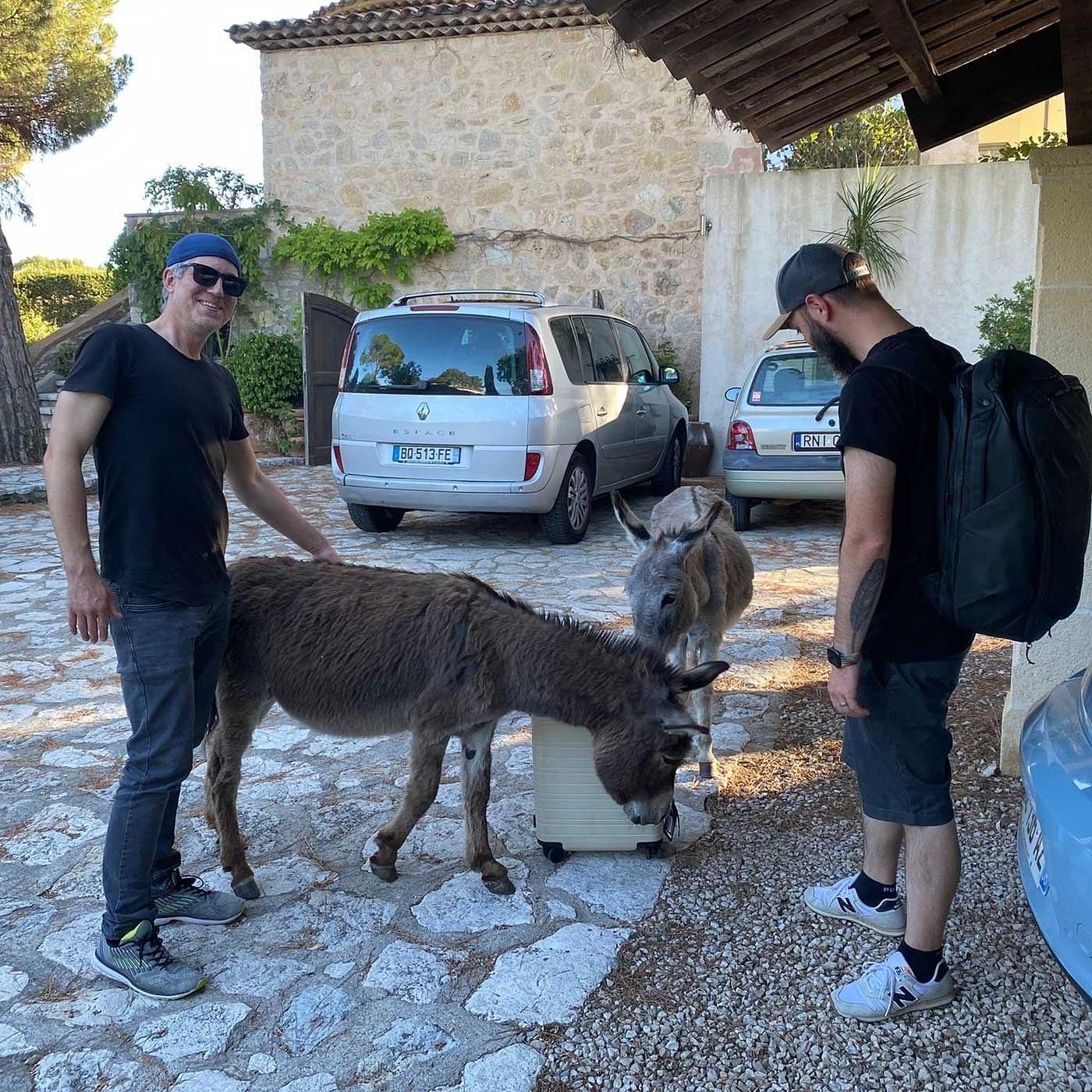 Kreativkommune Nizza: Katze aus dem Sack, Esel in der Küche