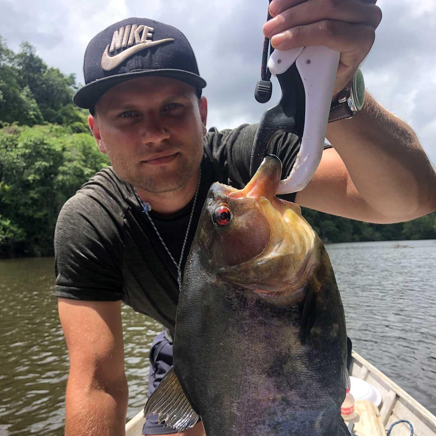 Abenteuer Guyana: Auf Nicholas Guppys Spuren zu den Wai-Wai