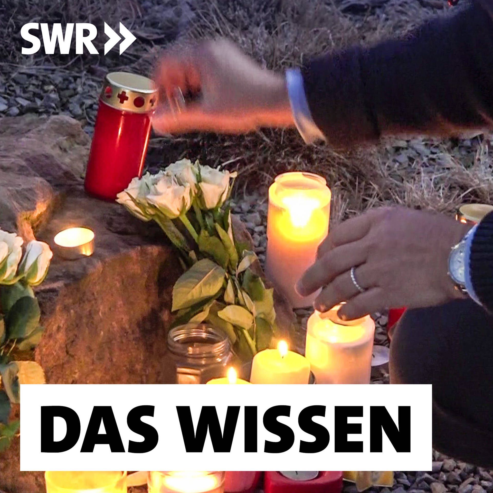 Psychisch gestörte Attentäter – Seelische Krankheiten und Gewalt