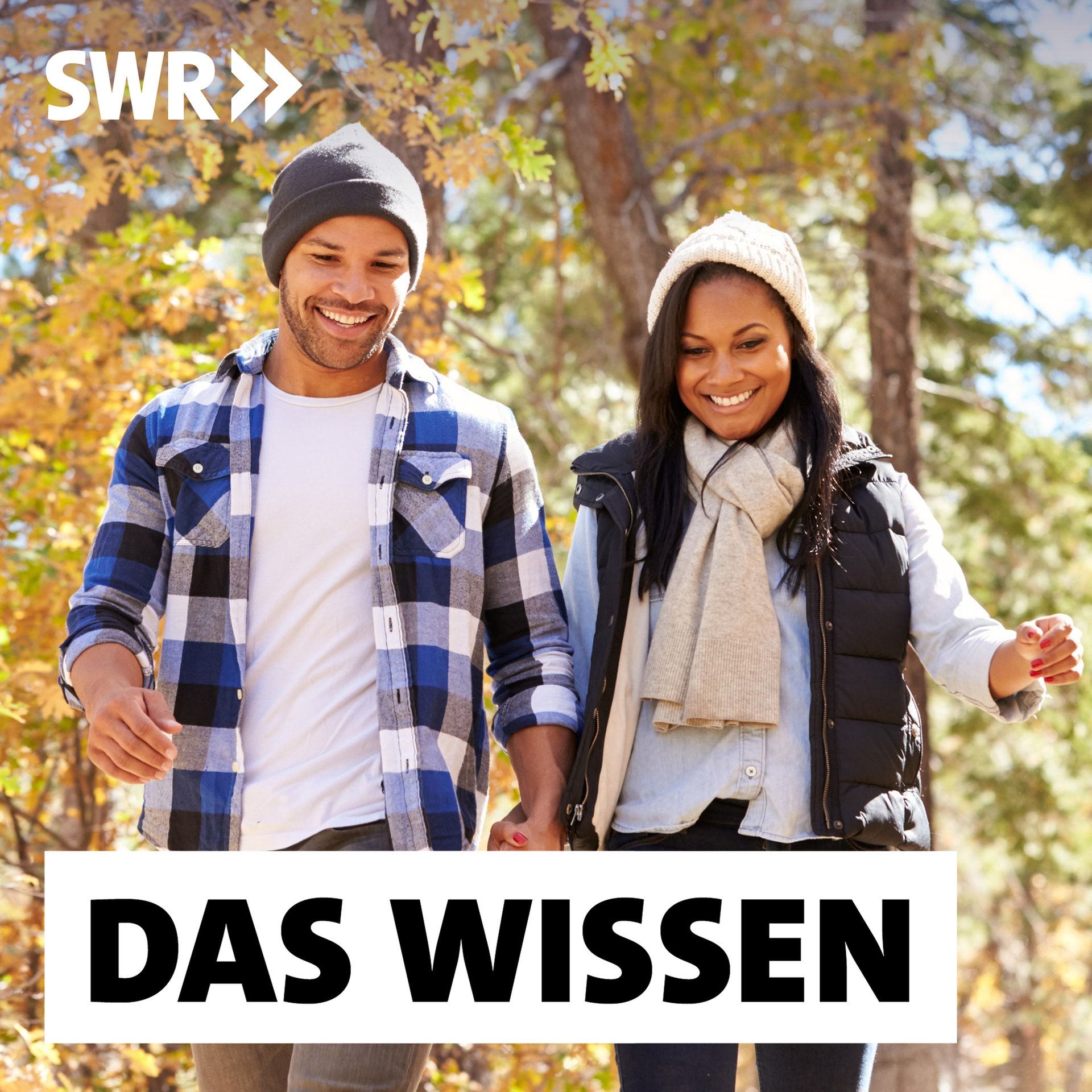 Wie Natur auf unsere Psyche wirkt – Wohlfühlen im Wald