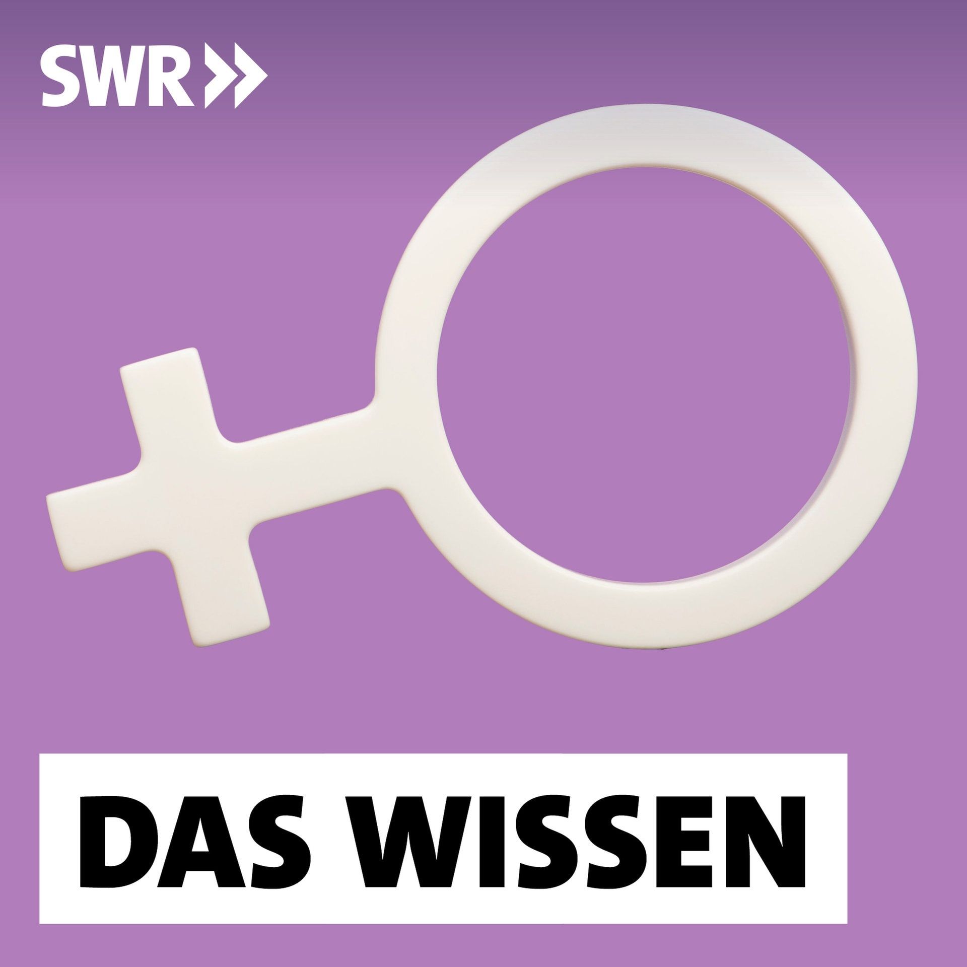 Das Geschlechter-Paradox – Fördert Gleichberechtigung alte Rollenbilder?