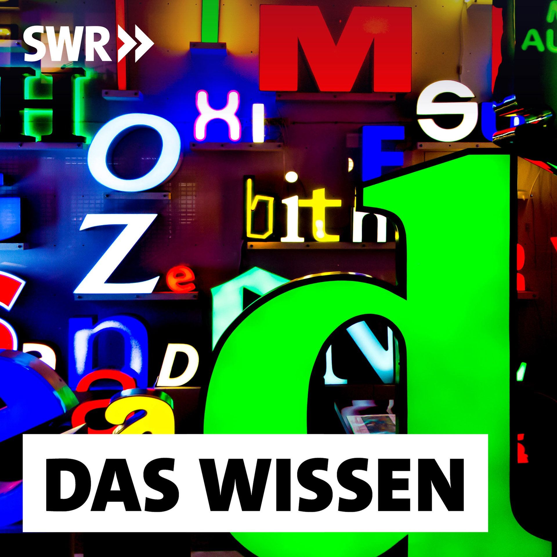 Was ist gutes Deutsch, was schlechtes – Eine bloße Frage für Besserwisser?