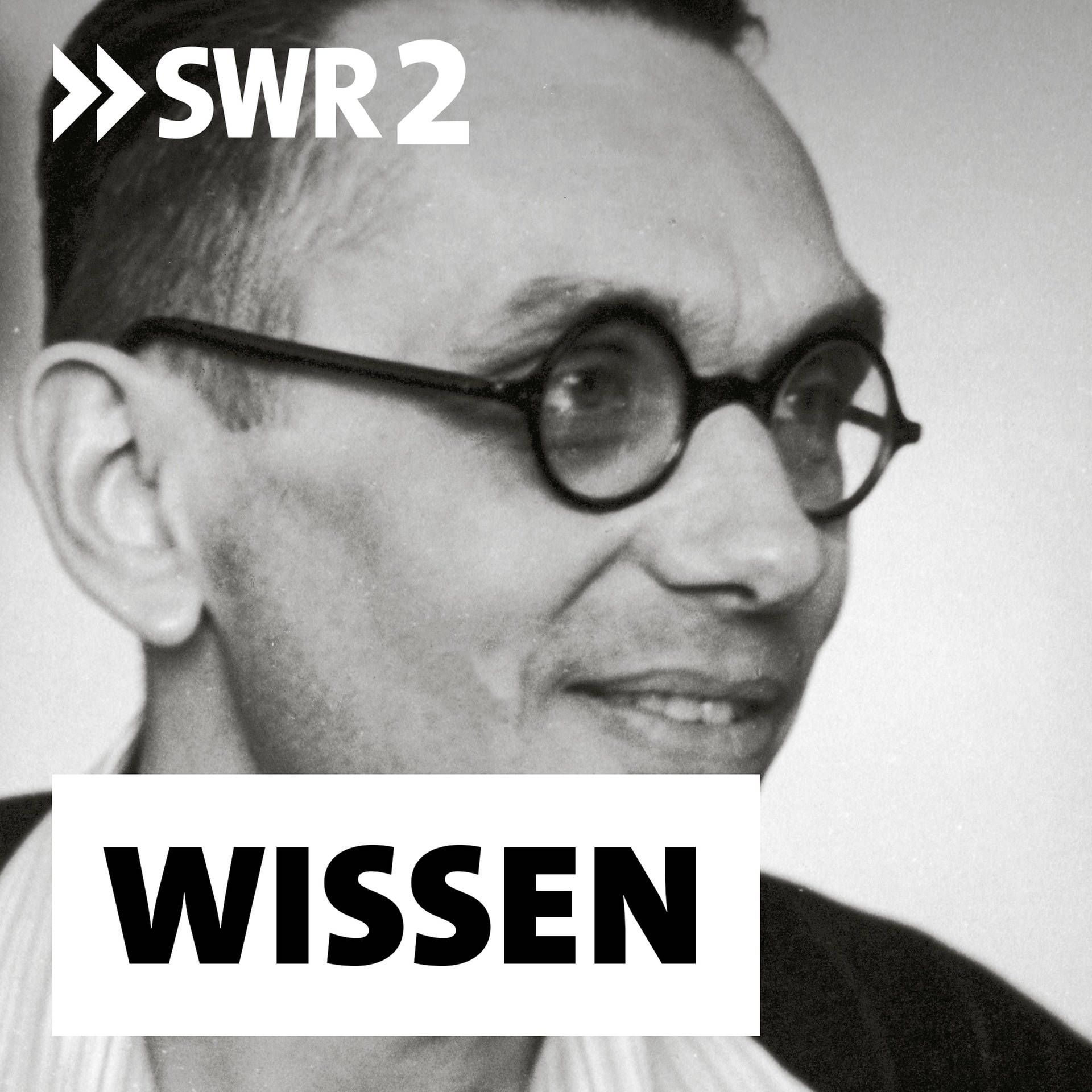 Kurt Gödel und die Grenzen der Erkenntnis