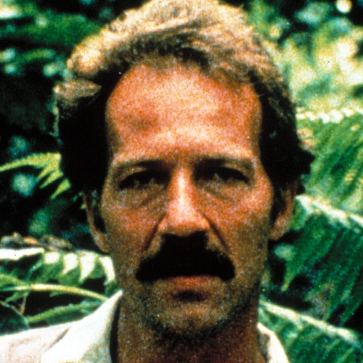 Bares für Hohles: Witzcarraldo