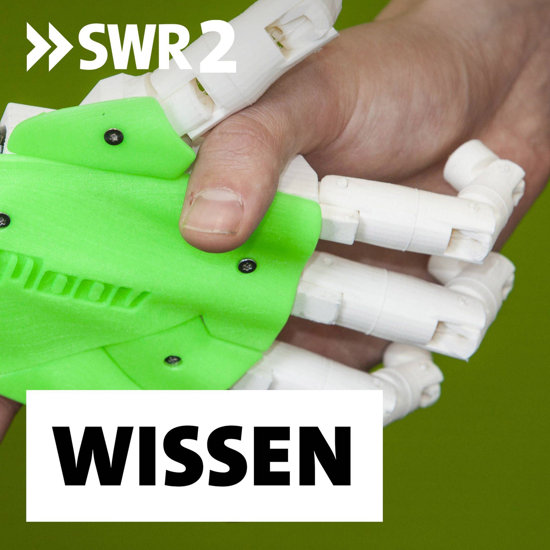 Deshalb braucht eine Gesellschaft Innovationen | "Der Staat kann Anreize setzen" | Volkswirtschaftlerin Ingrid Ott im Science Talk