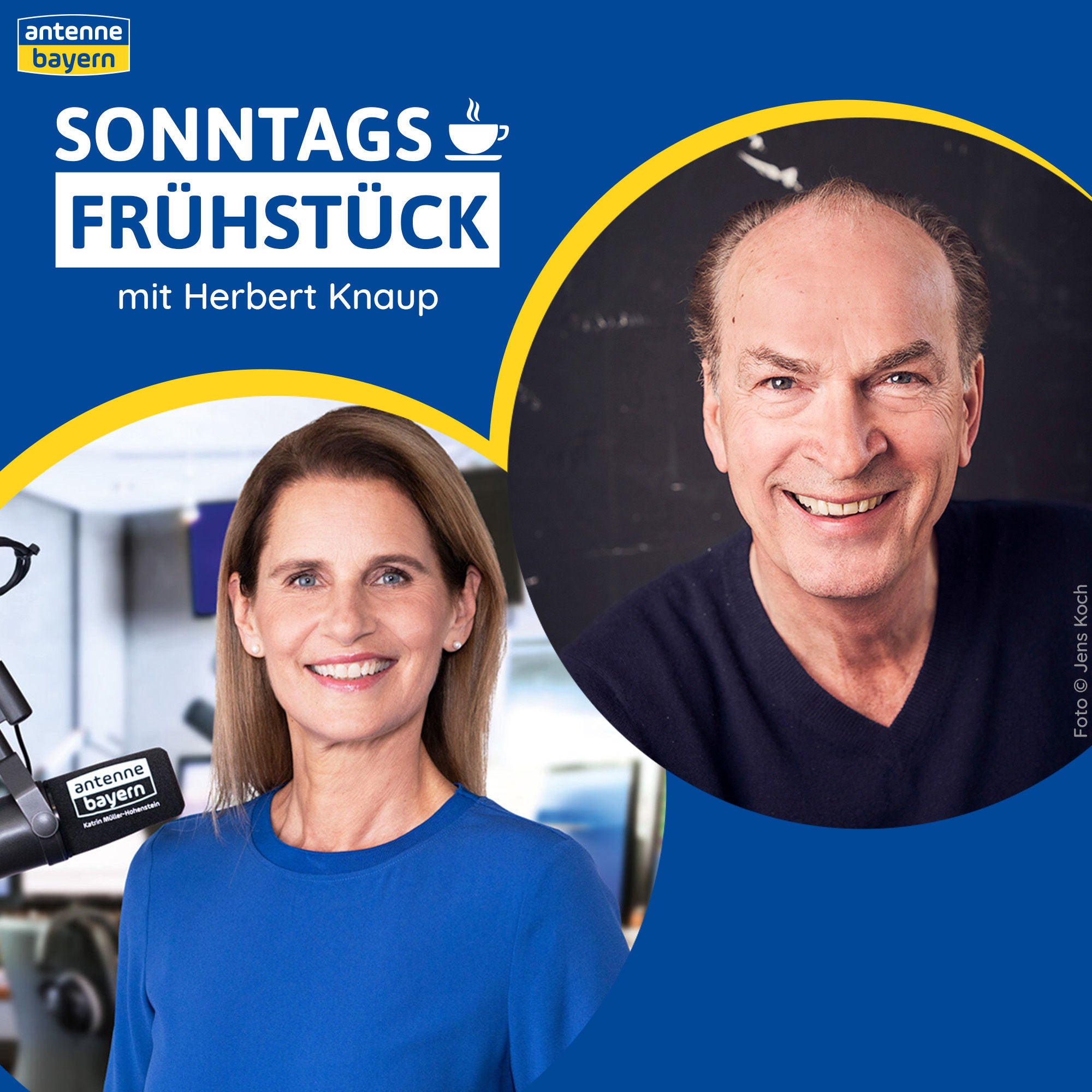 Schauspieler Herbert Knaup