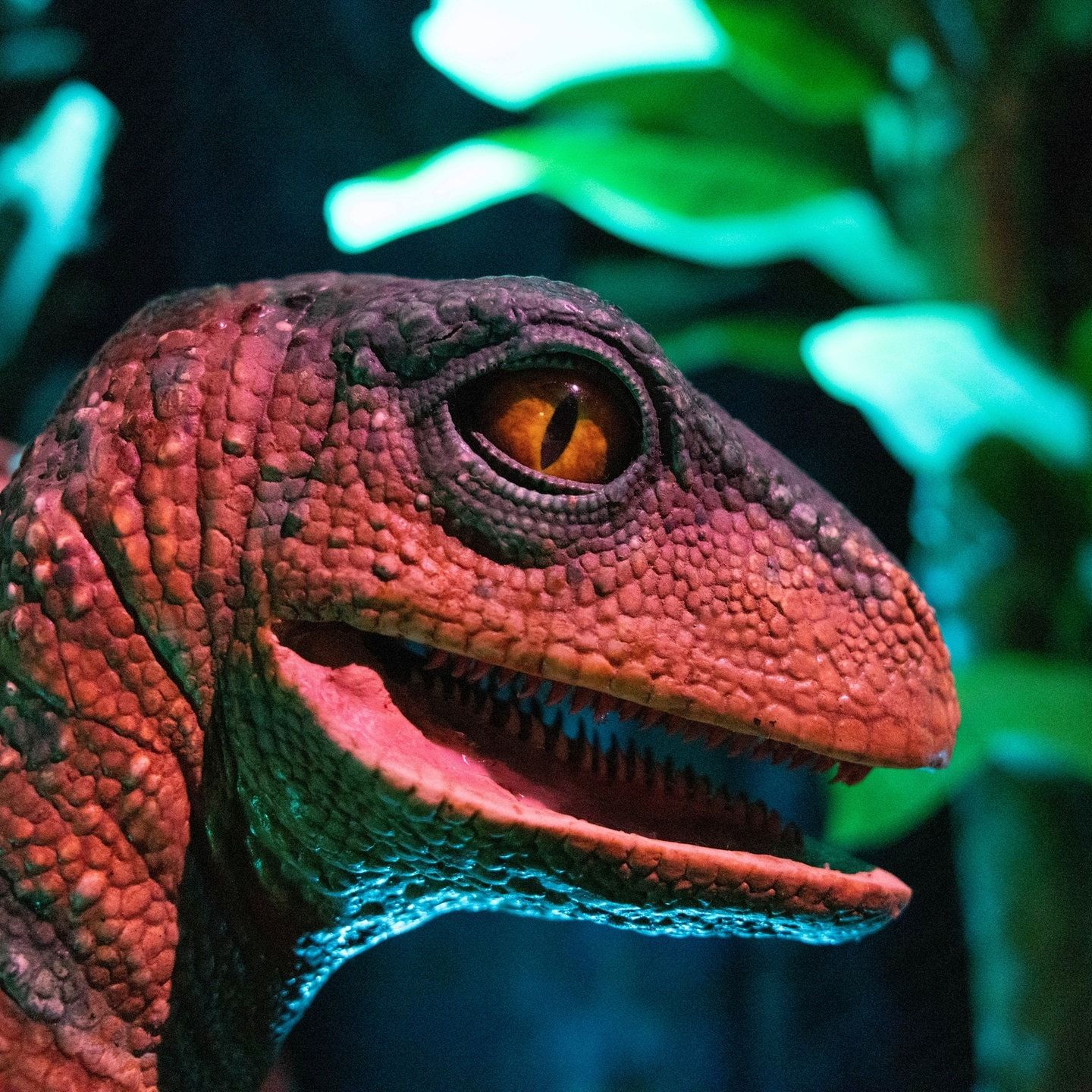 Die Tierdocs: Velociraptor stört beim Liebesspiel