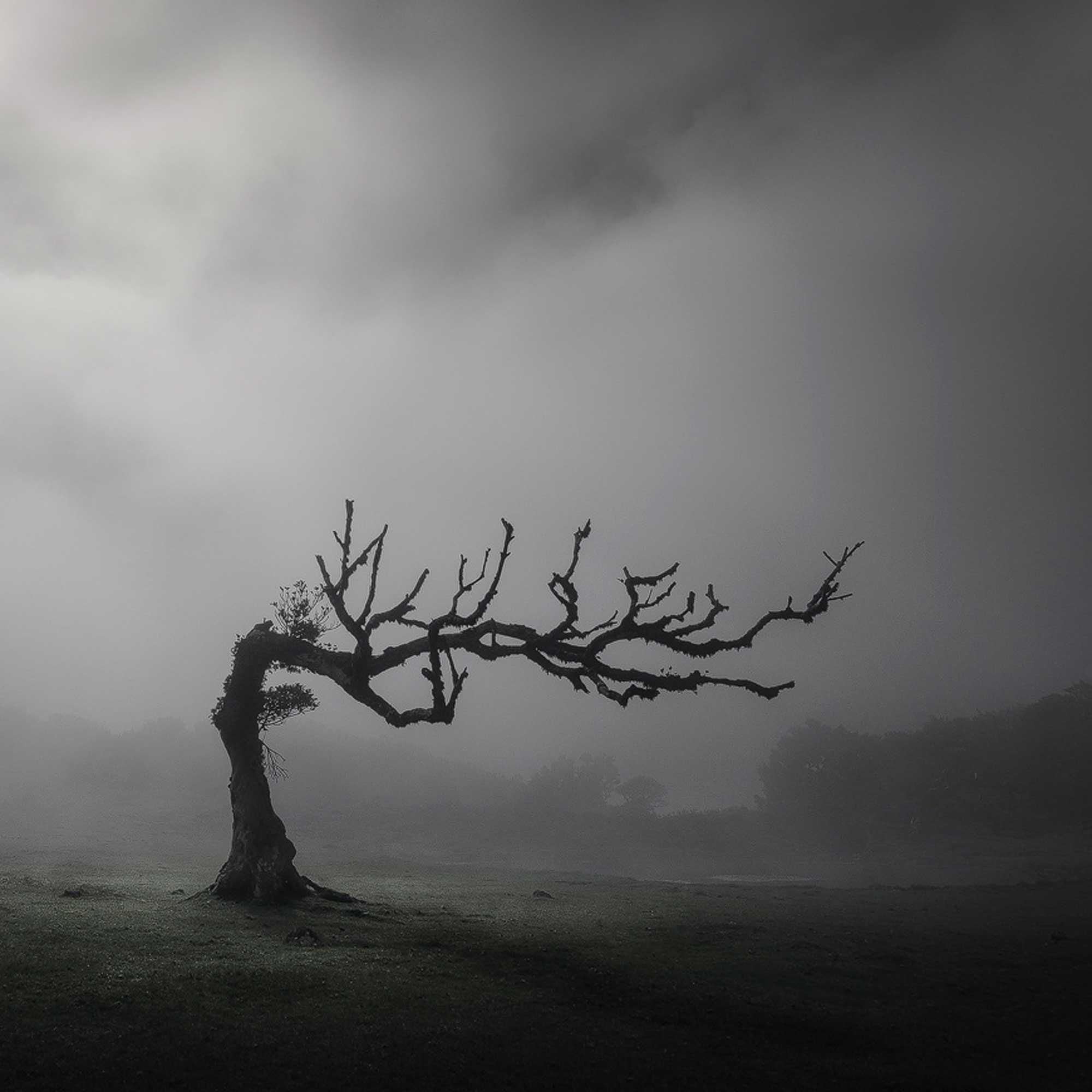 Kai Hornung – Kunstvoll intime Interpretationen von Landschaft und Natur