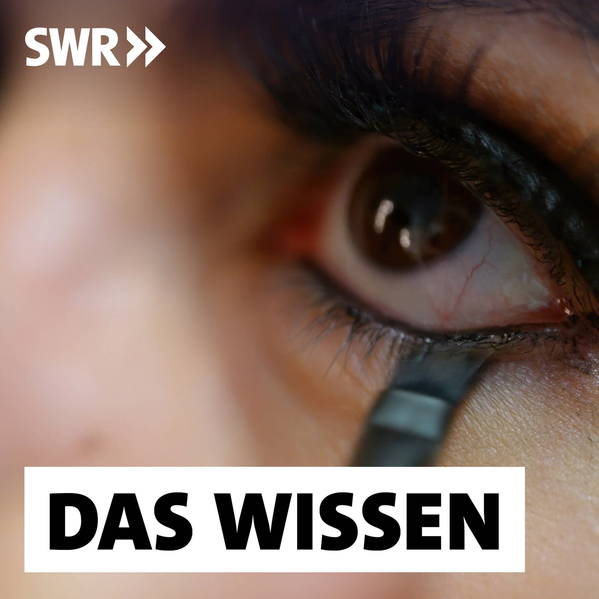 PFAS – Wie gefährlich sind die "Ewigkeitschemikalien" und wie werden wir sie wieder los?