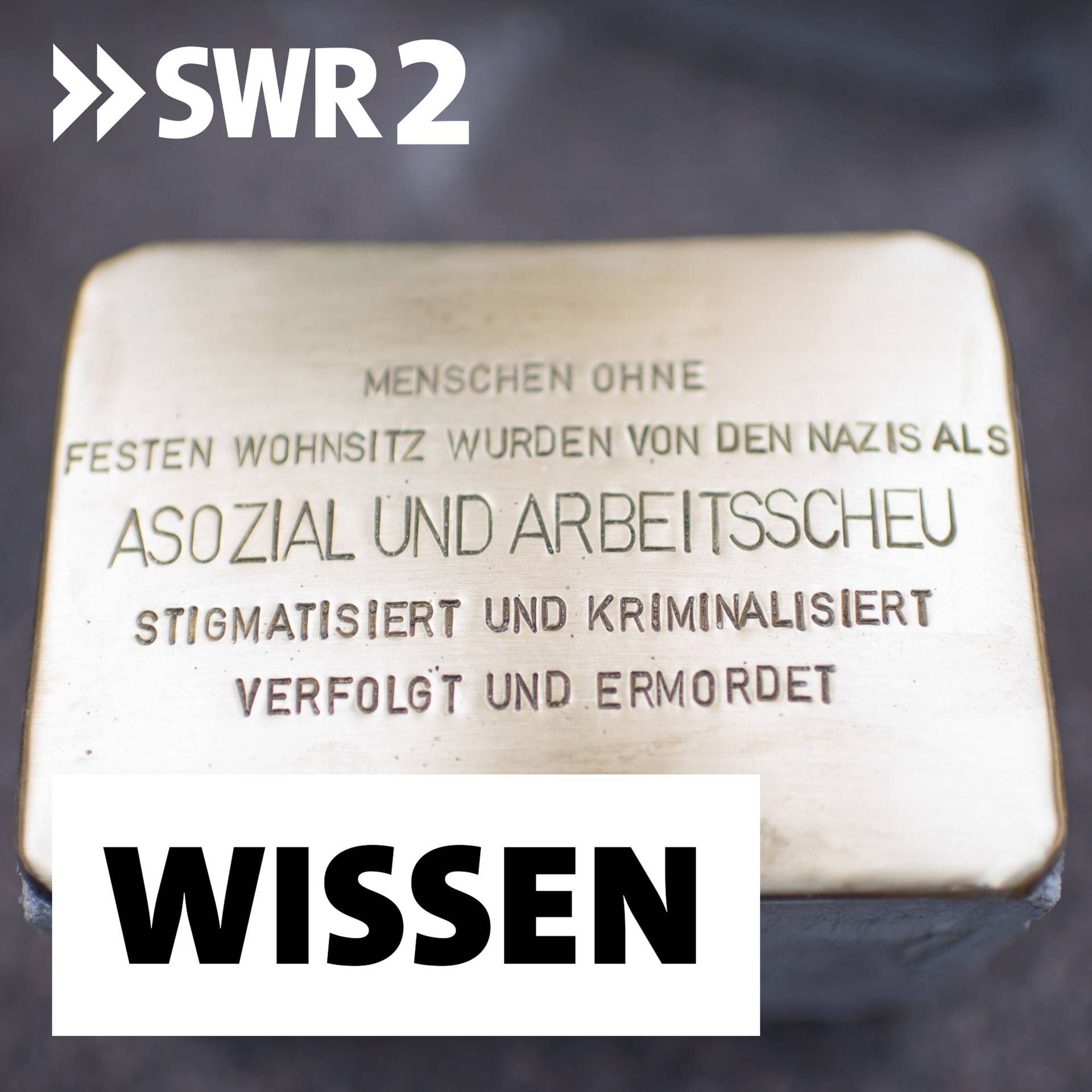 "Asoziale" und "Berufsverbrecher" – Die verleugneten Nazi-Opfer