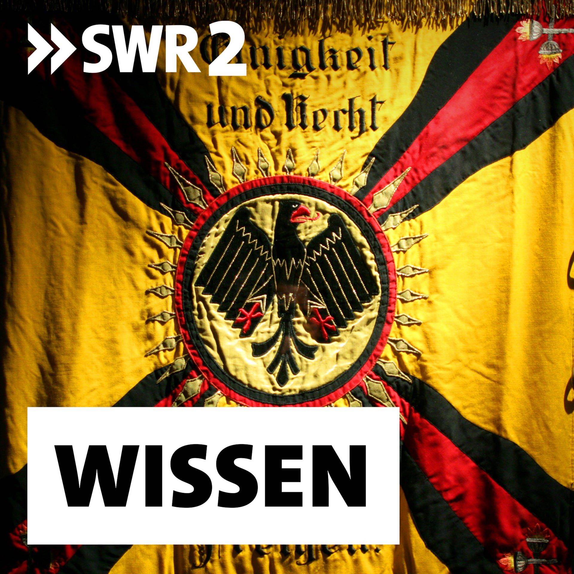 Reichsbanner Schwarz-Rot-Gold – Demokratische Bewegung seit 1924