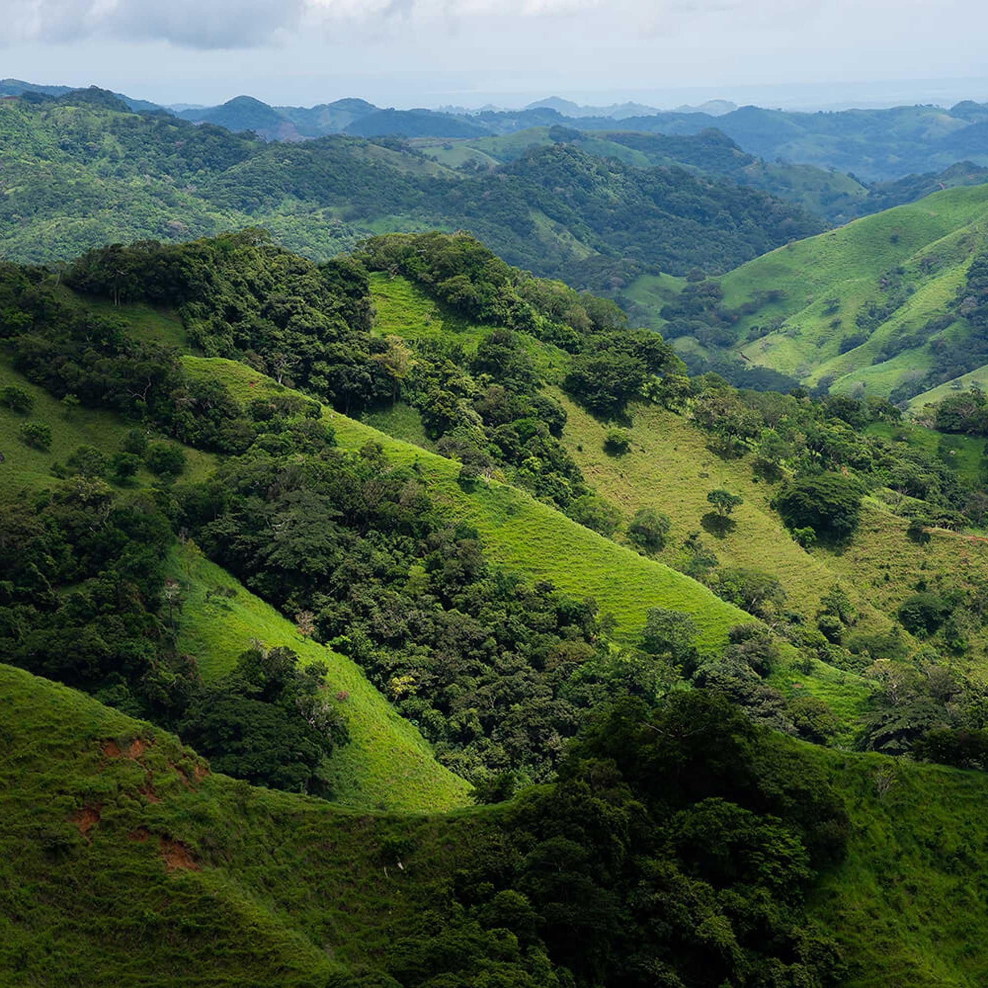 Grüner Tourismus – Wie Costa Rica zum Vorbild beim nachhaltigen Reisen wurde