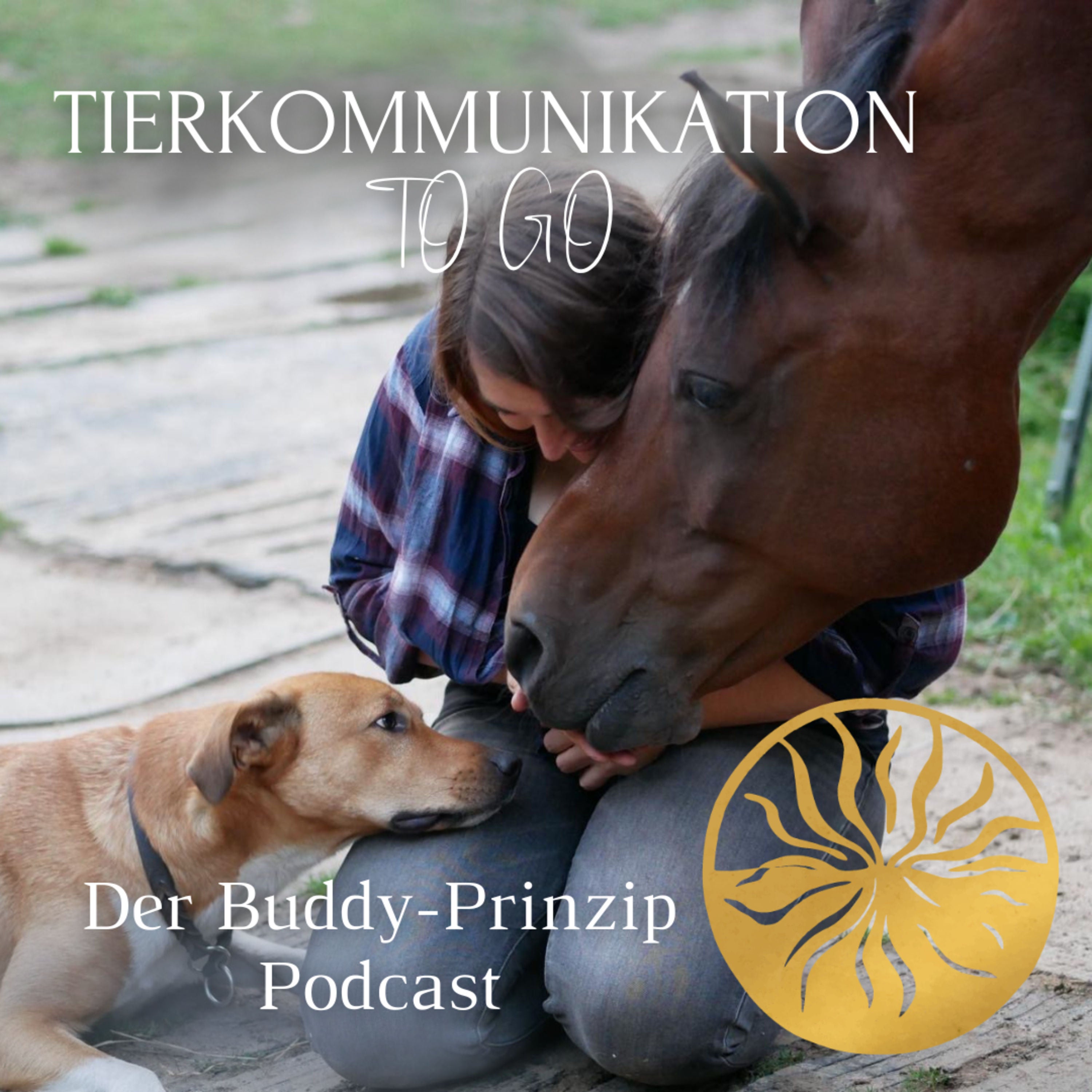 Los gehts!