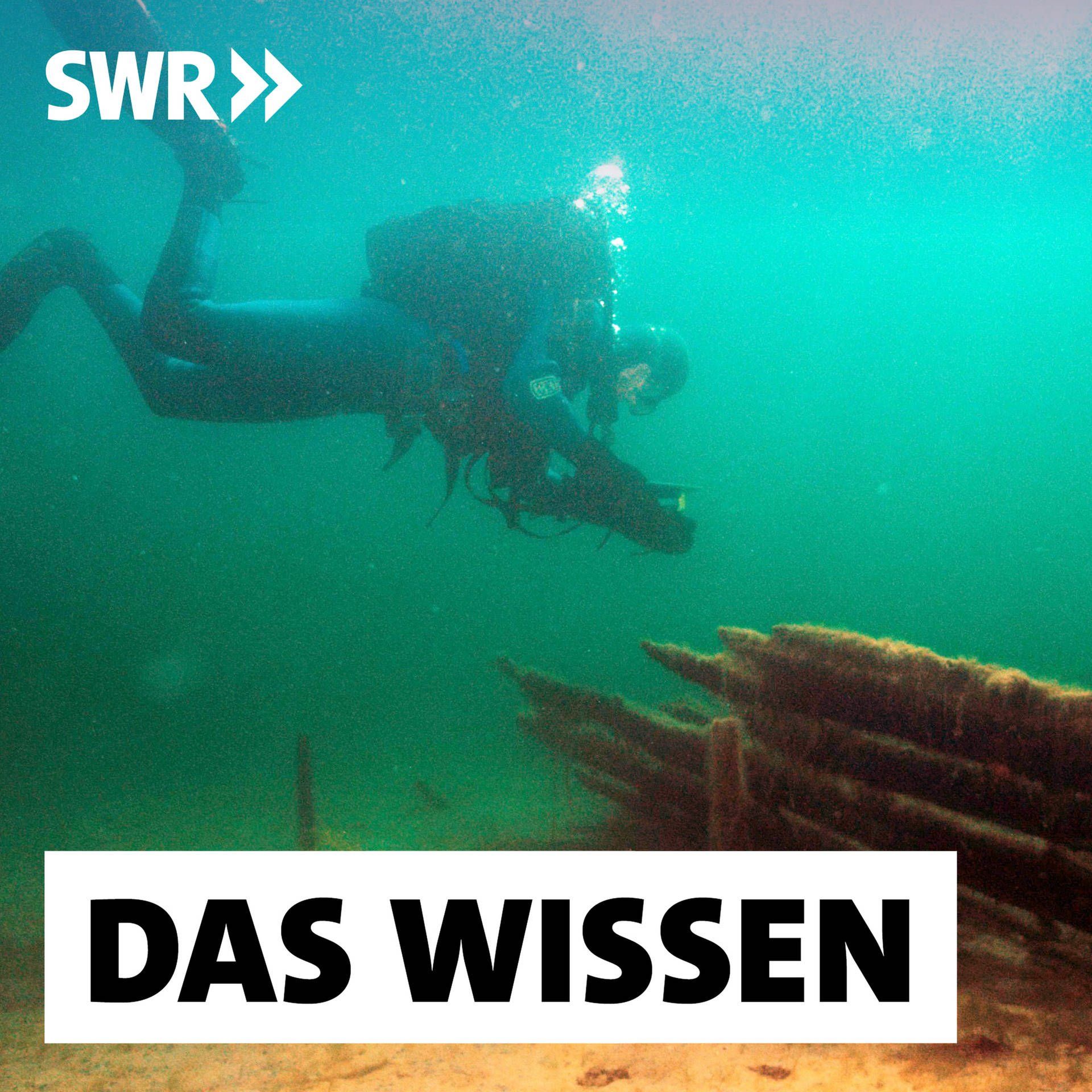 Unterwasser-Archäologie im Bodensee – Schiffswracks, Siedlungsspuren, Flugzeuge